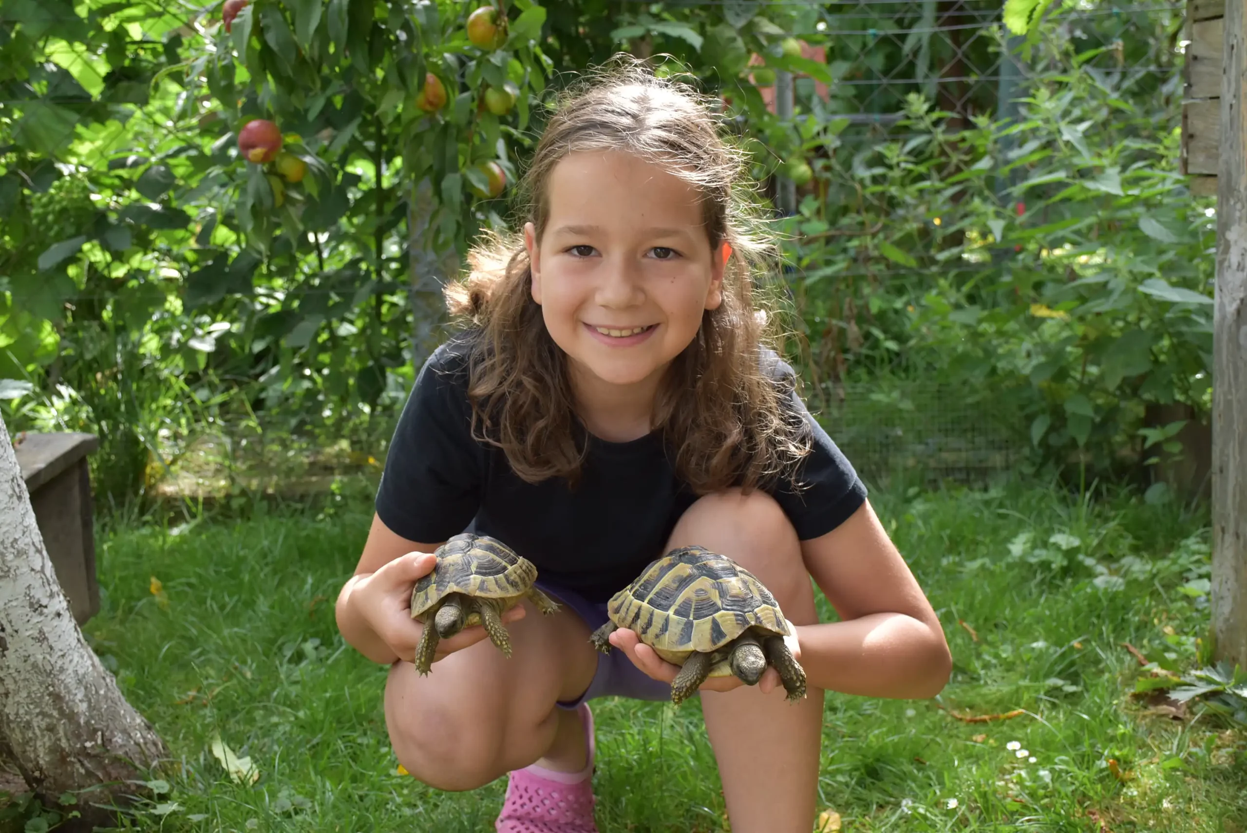 Rafael Bednjač – Prelog (4)