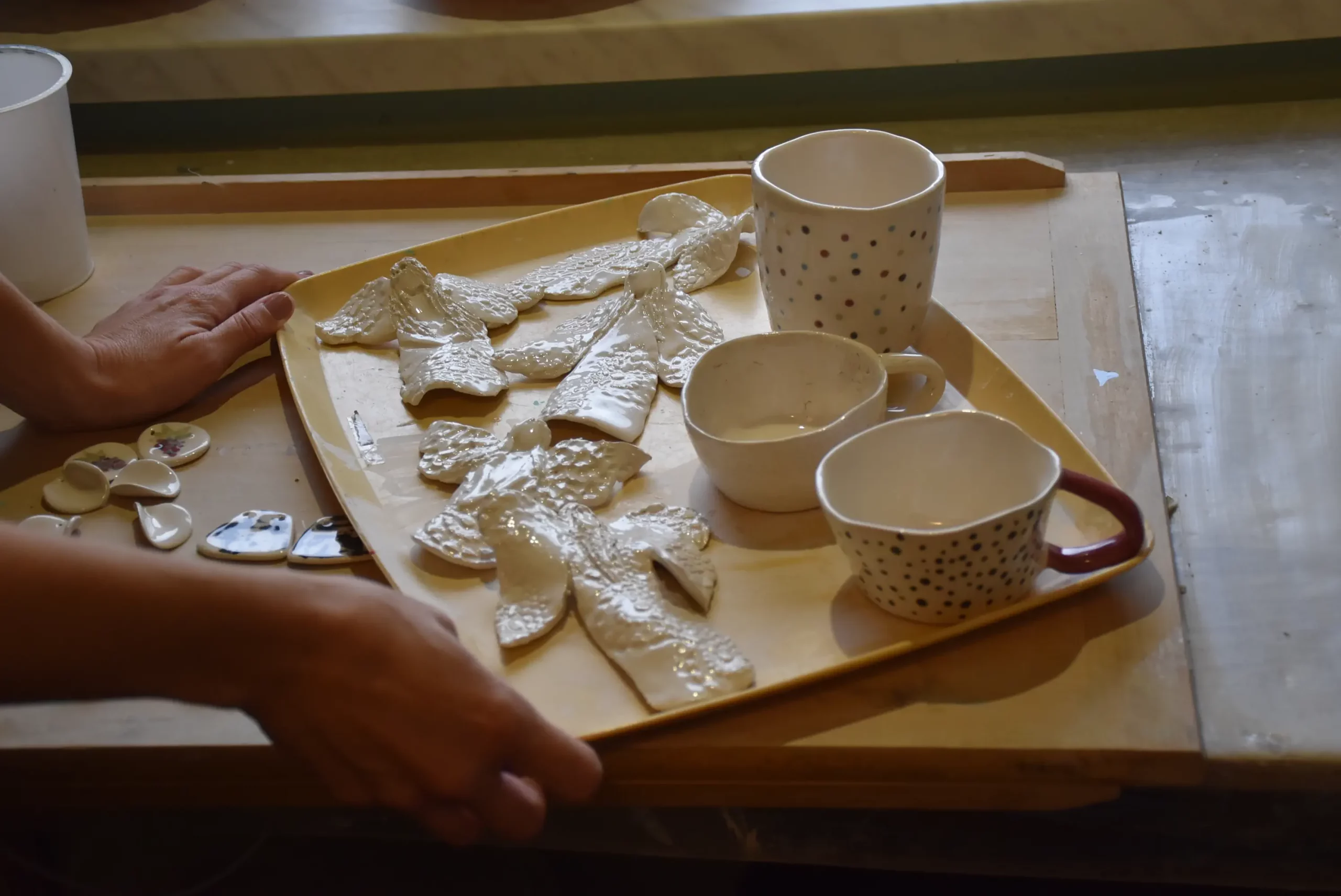 Rahela Mikec iz Štrigove (14)