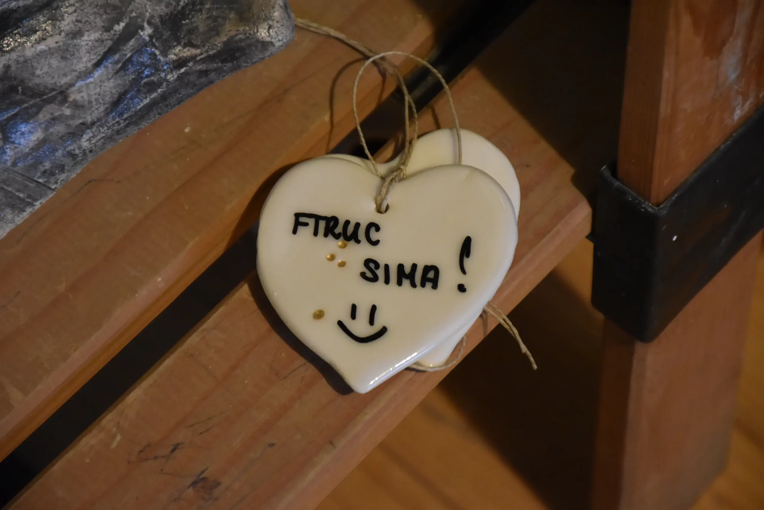 Rahela Mikec iz Štrigove (17)