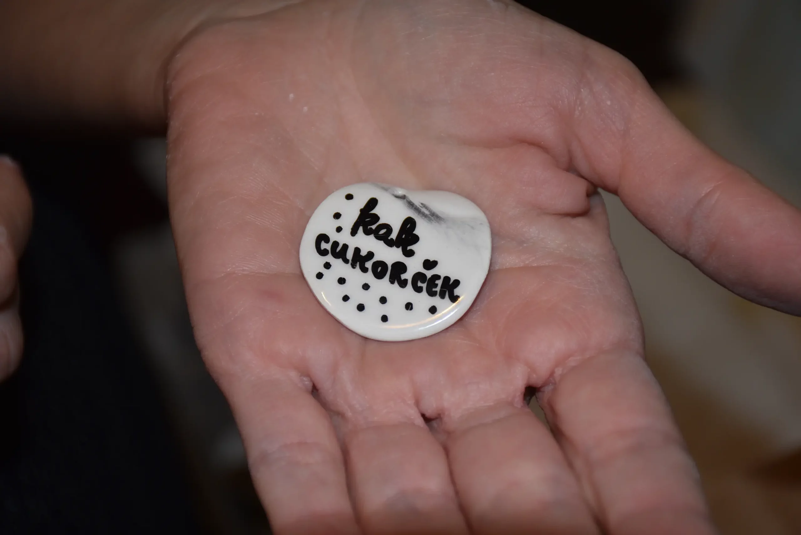 Rahela Mikec iz Štrigove (19)