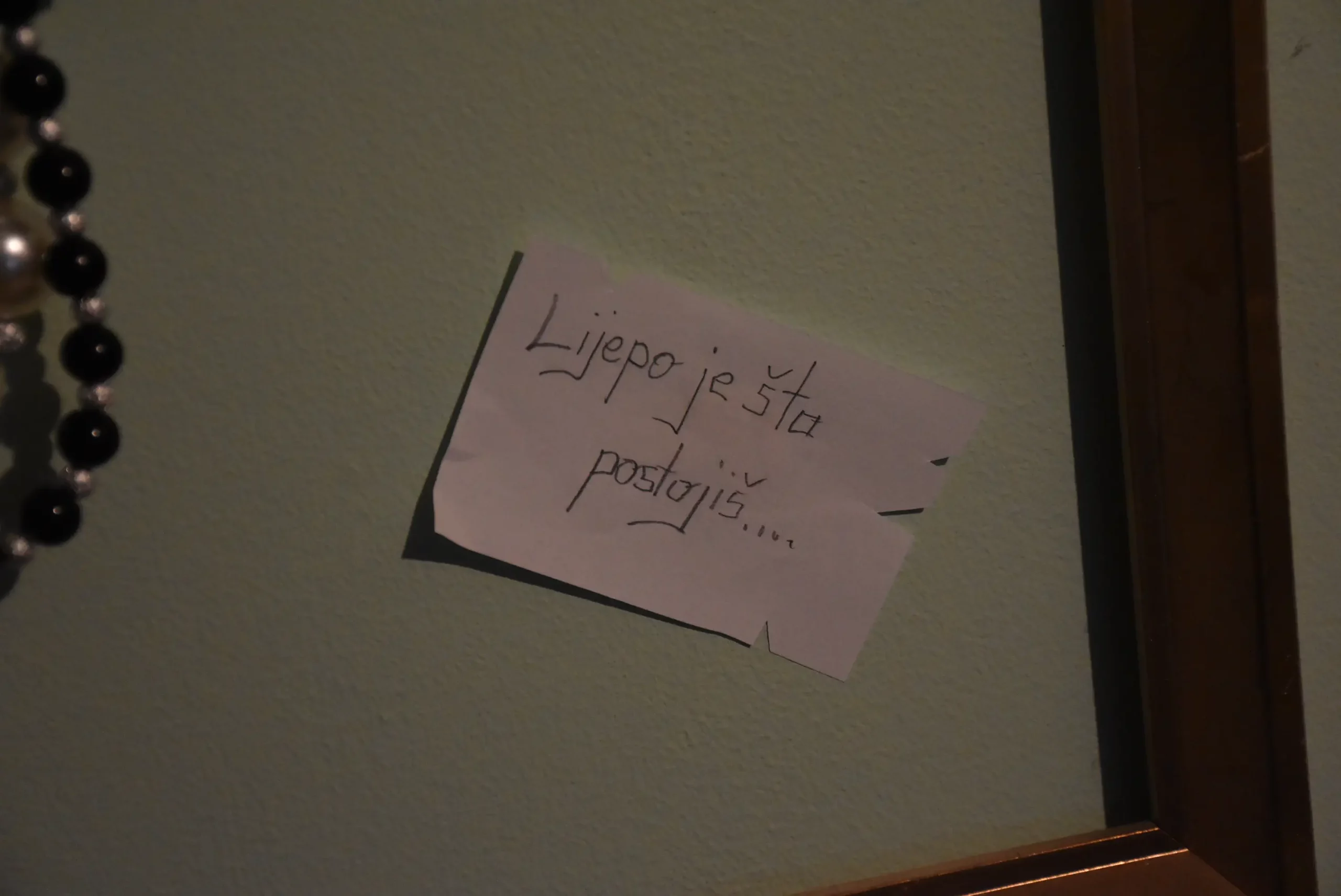 Rahela Mikec iz Štrigove (21)