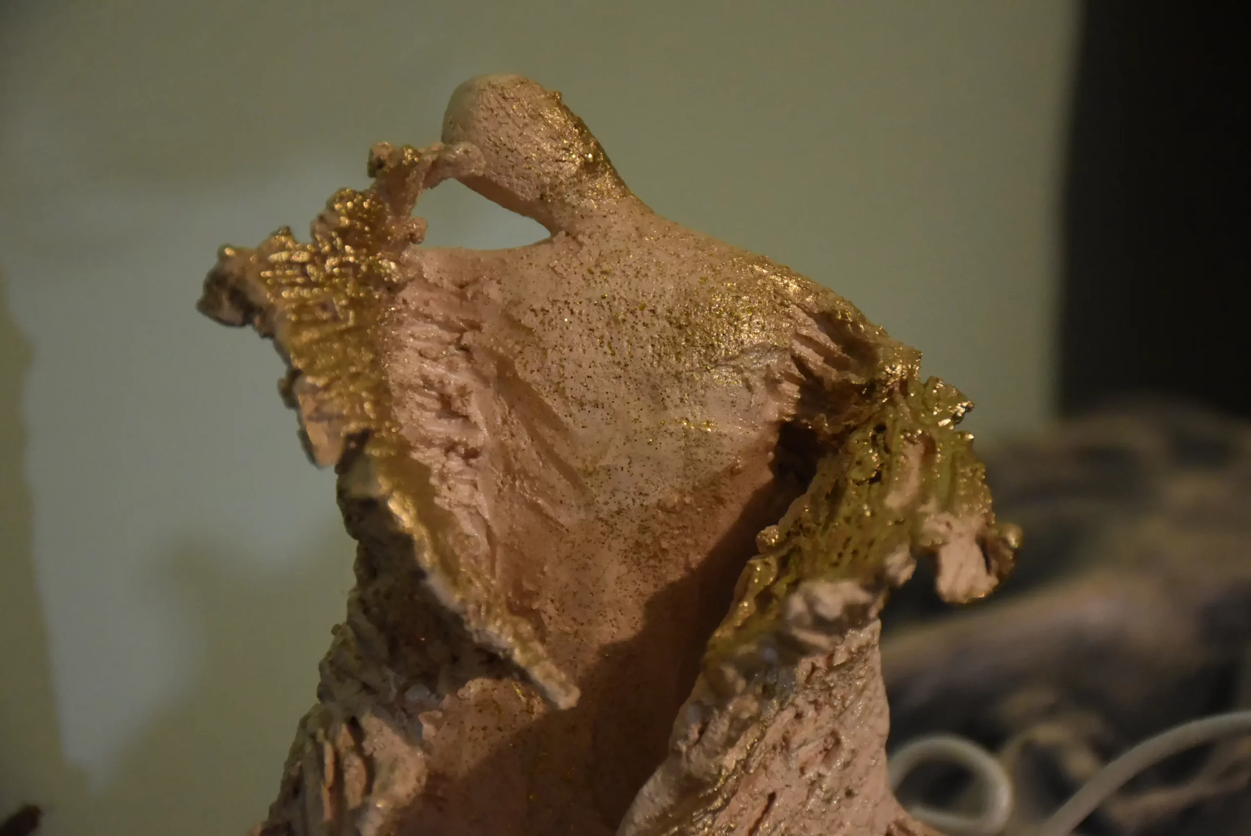 Rahela Mikec iz Štrigove (4)