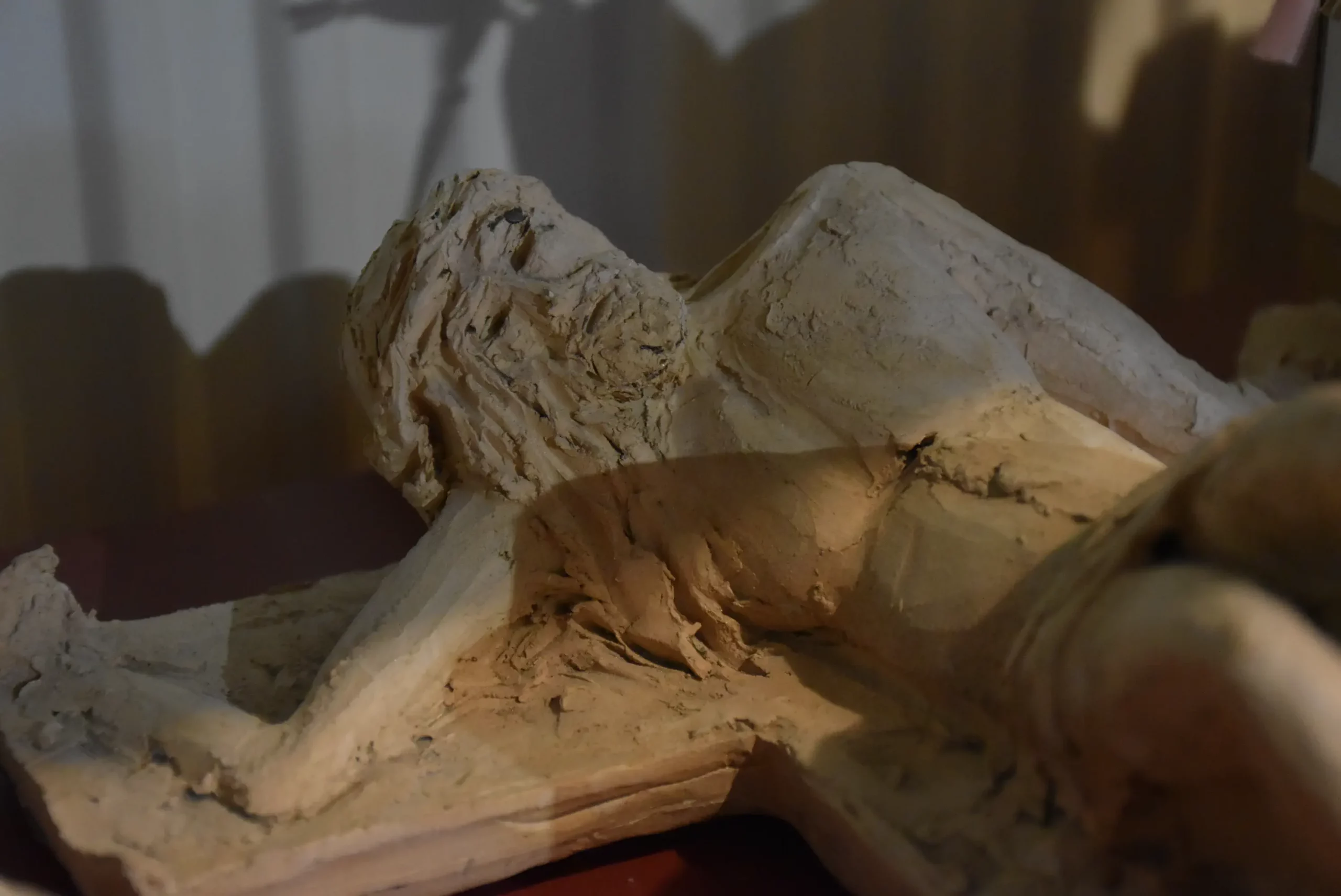 Rahela Mikec iz Štrigove (8)