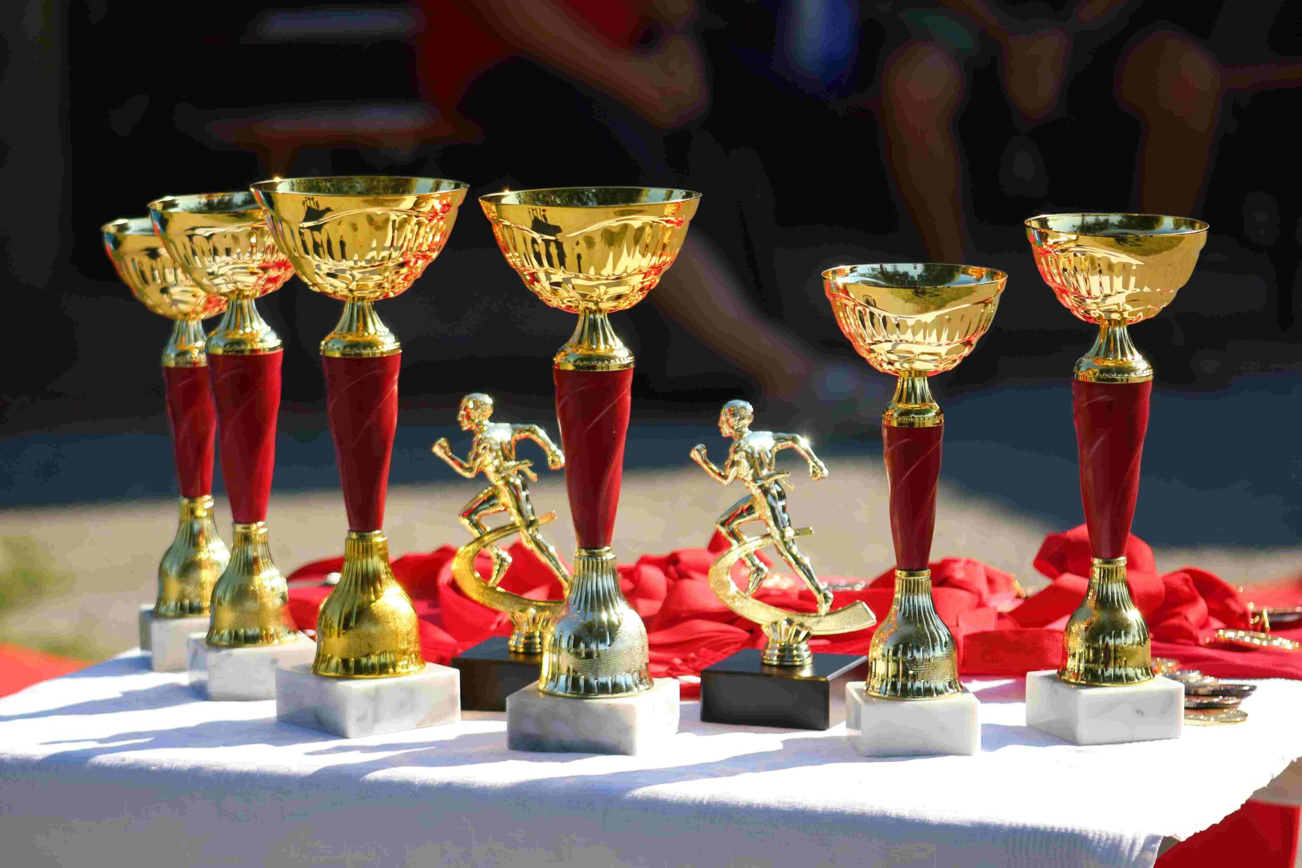 Red run Cirkovljan 2025 (2)