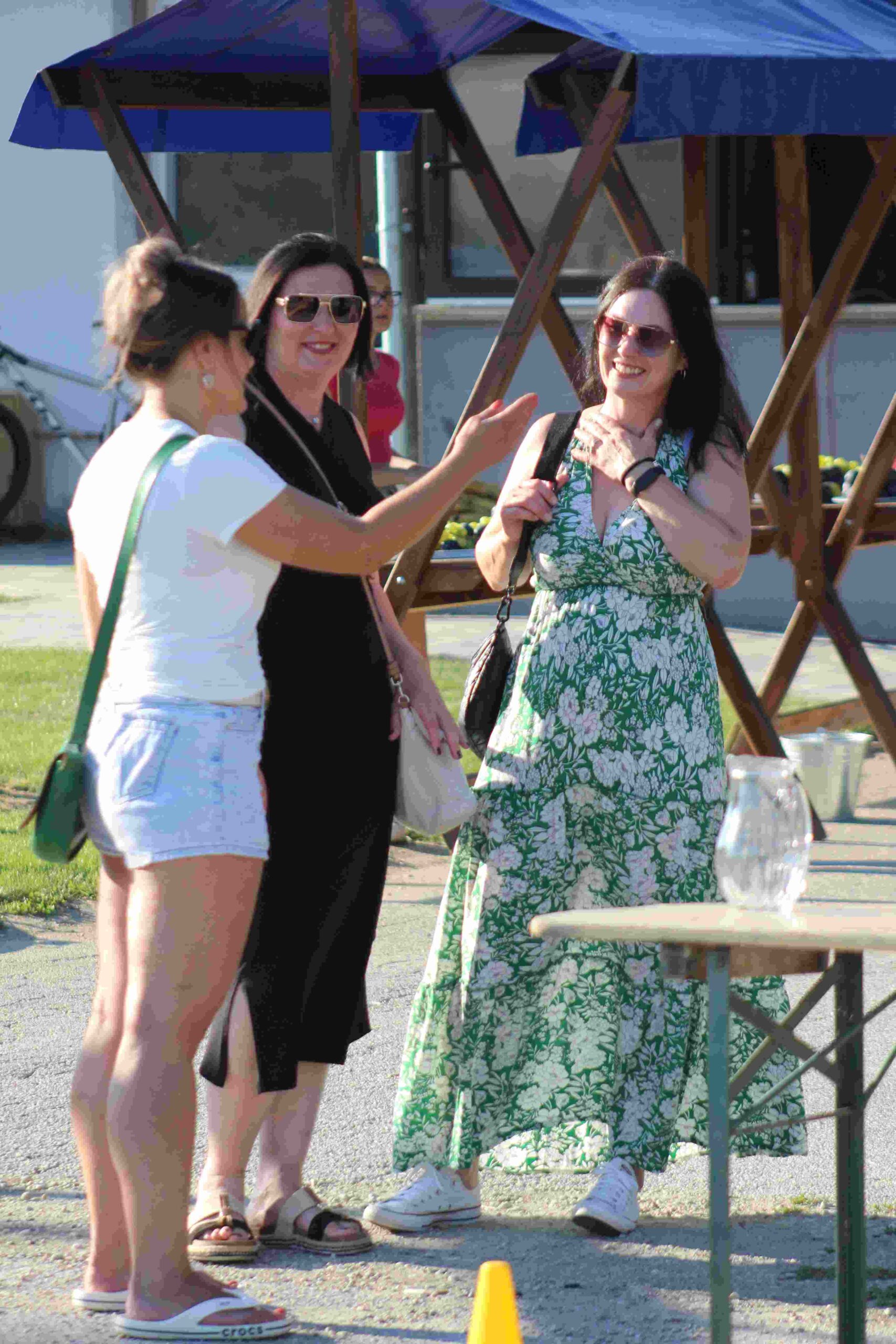 Red run Cirkovljan 2025 (69)