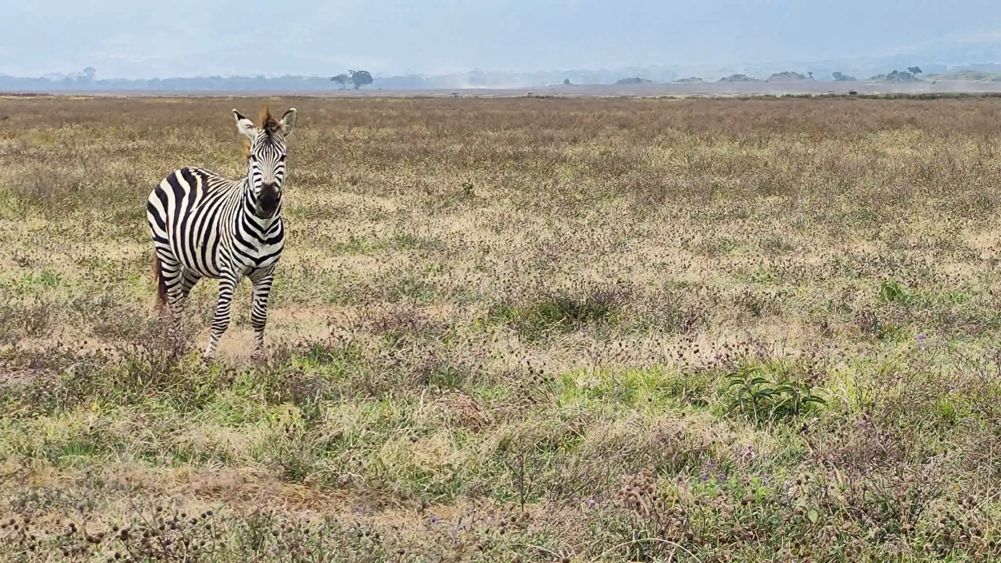 Renata Vinko- Afrika (4) Renata Vinko- Afrika (4)