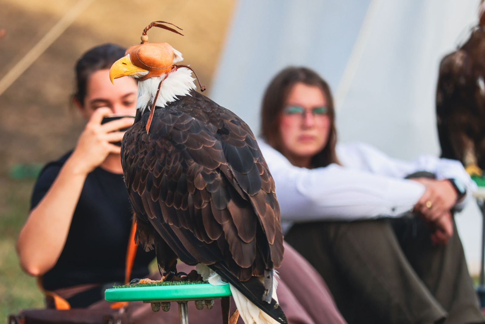 Renesansni festival 2025 63
