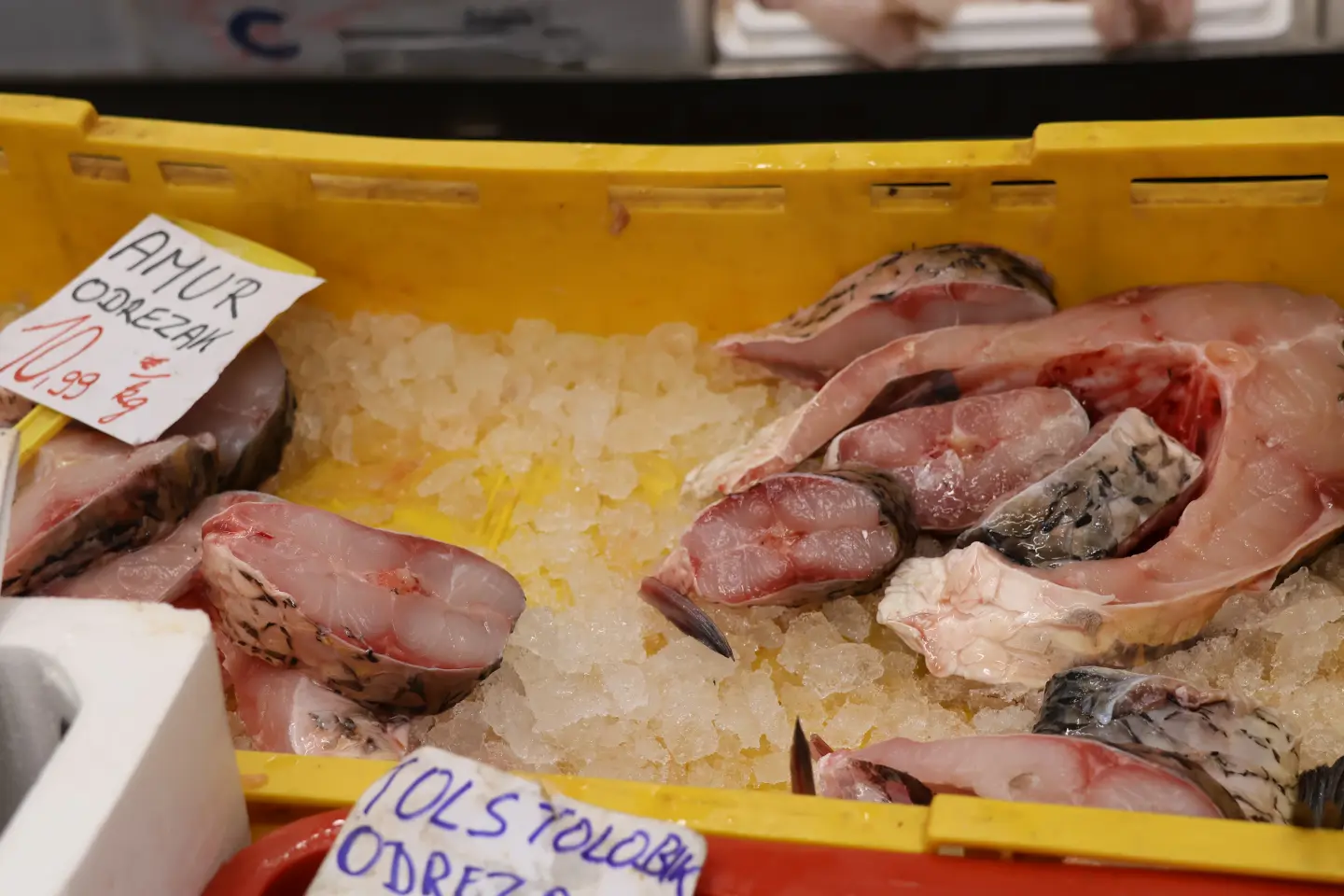 Ribarnica Čakovec Badnjak 24.12.2025 (12)