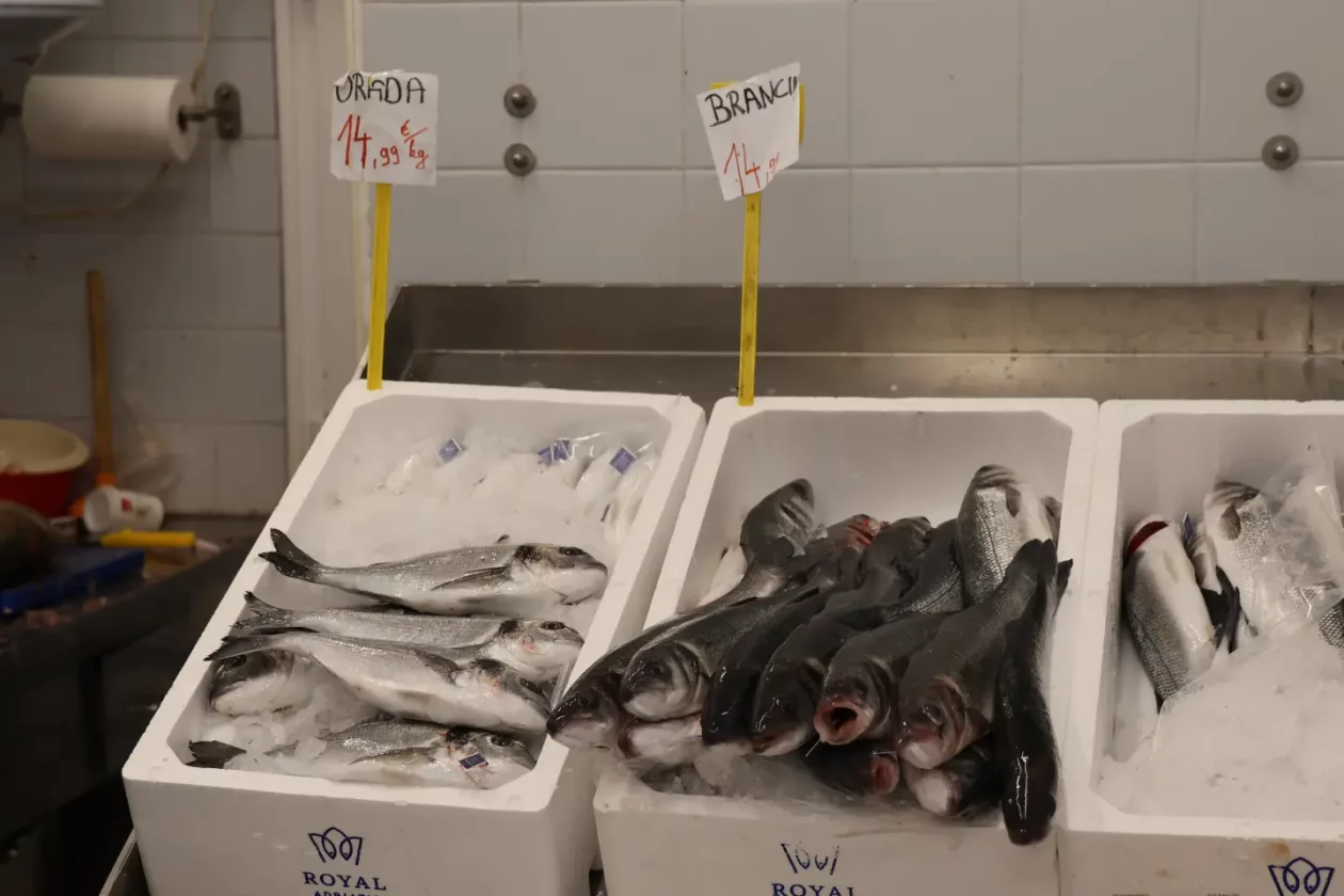 Ribarnica Čakovec Badnjak 24.12.2025 (13)