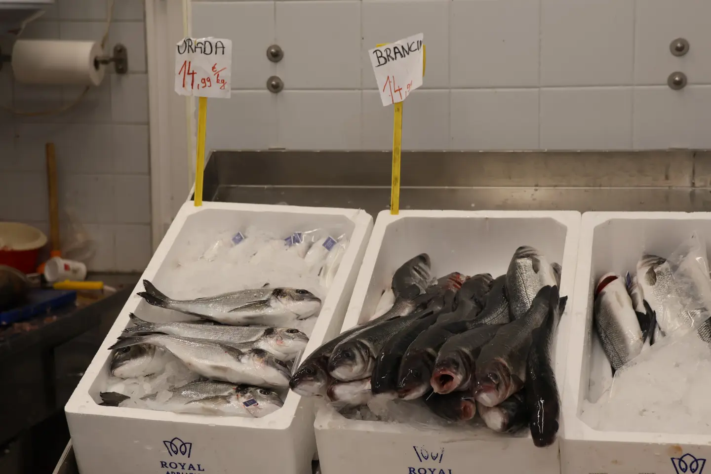 Ribarnica Čakovec Badnjak 24.12.2025 (13)