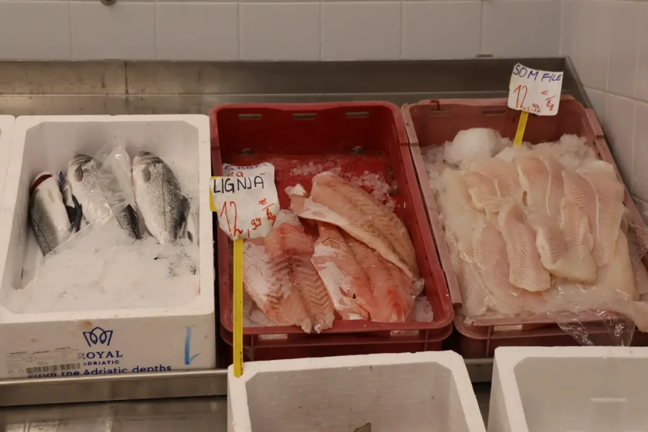 Ribarnica Čakovec Badnjak 24.12.2025 (14)