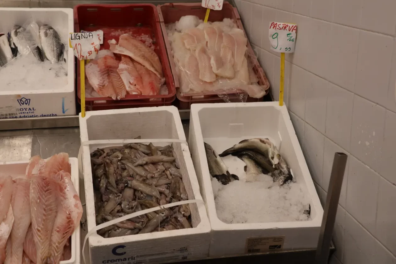 Ribarnica Čakovec Badnjak 24.12.2025 (15)