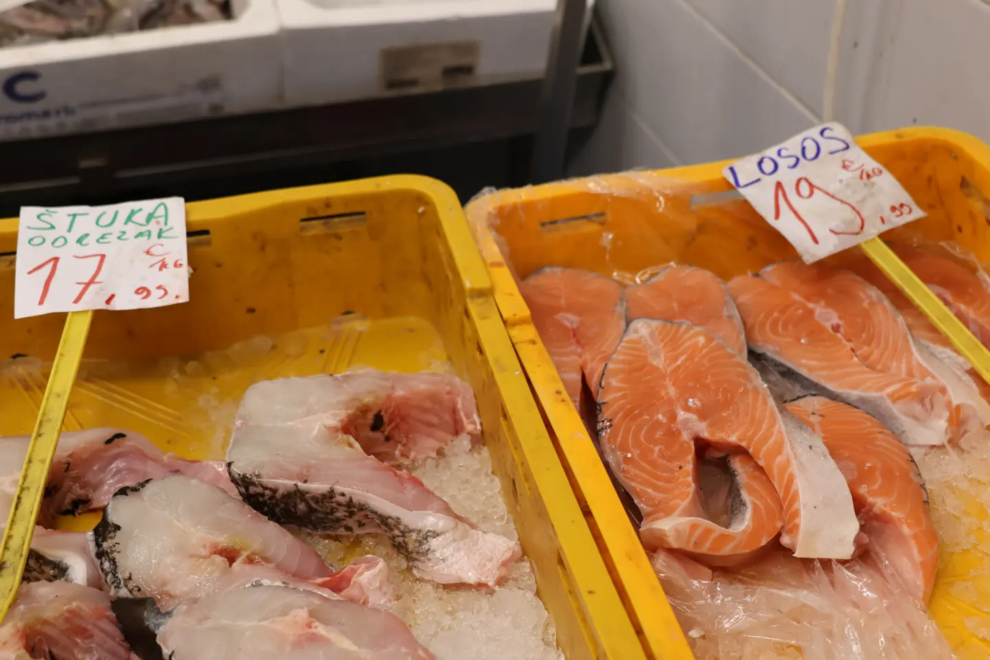 Ribarnica Čakovec Badnjak 24.12.2025 (17)