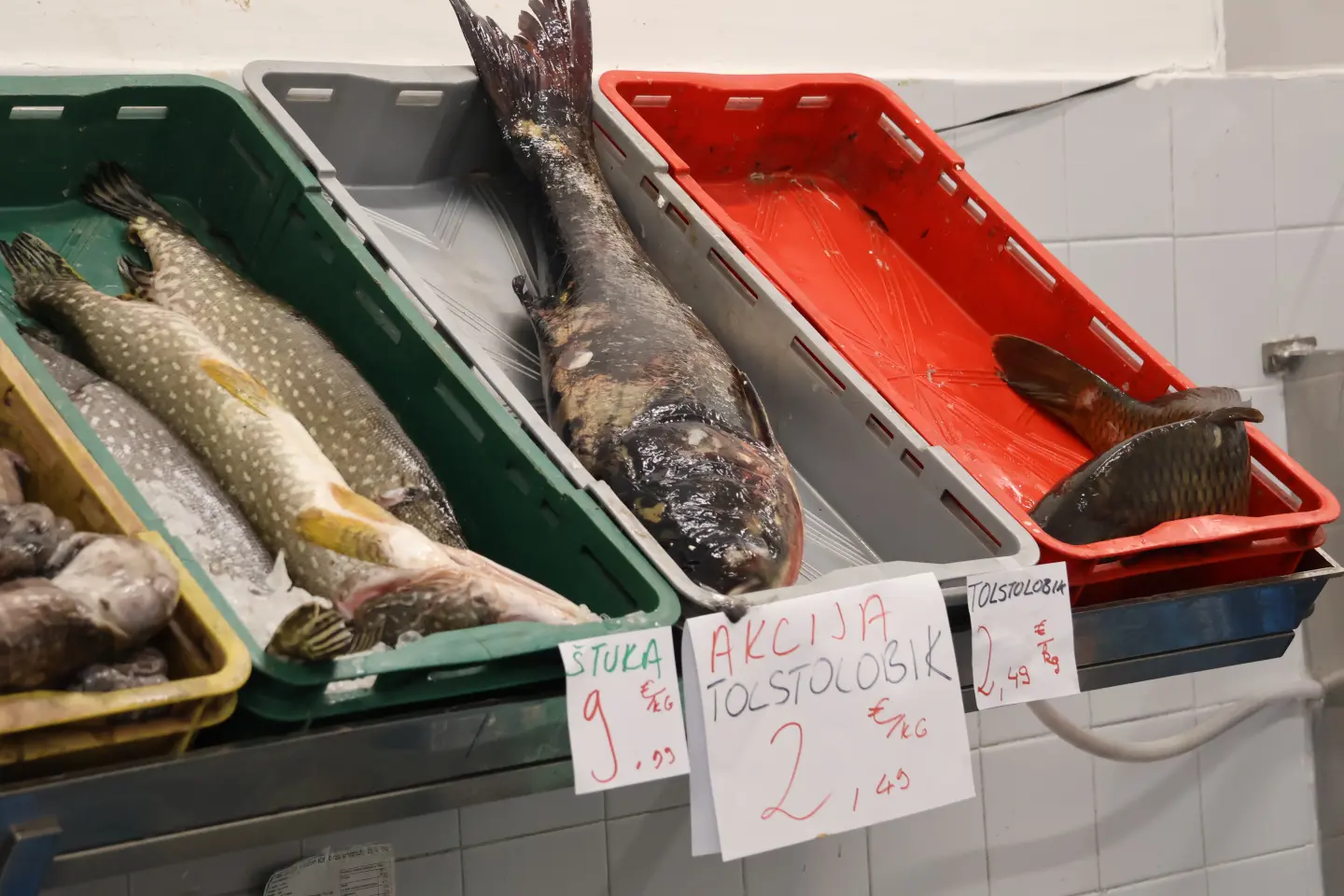 Ribarnica Čakovec Badnjak 24.12.2025 (23)