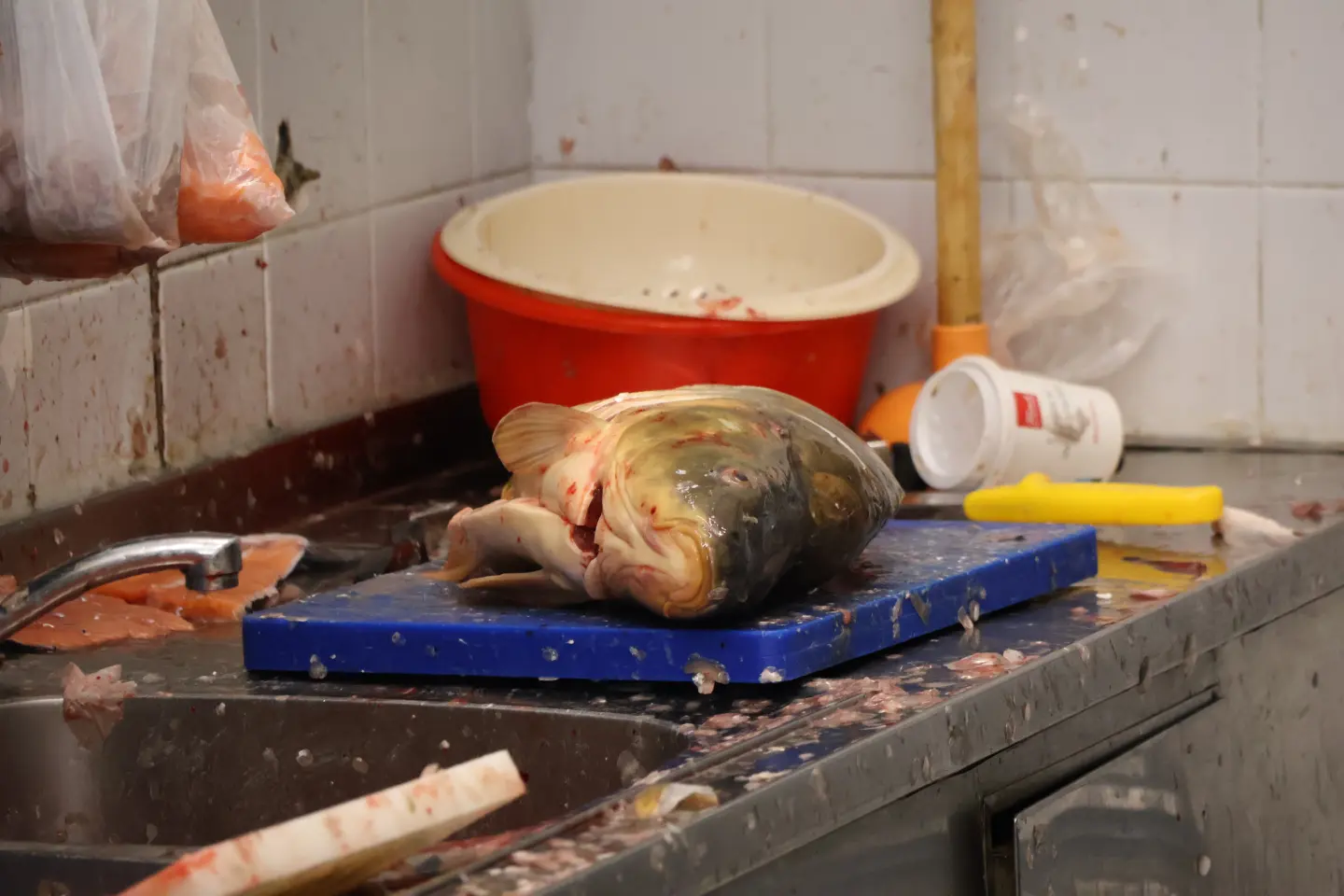 Ribarnica Čakovec Badnjak 24.12.2025 (26)