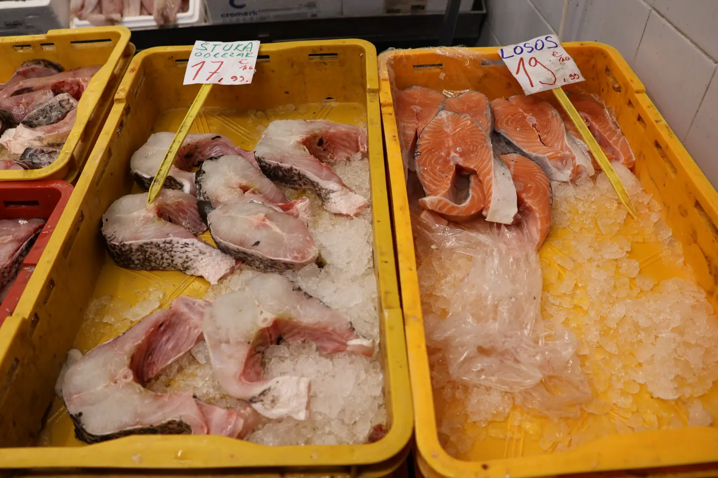 Ribarnica Čakovec Badnjak 24.12.2025 (8)