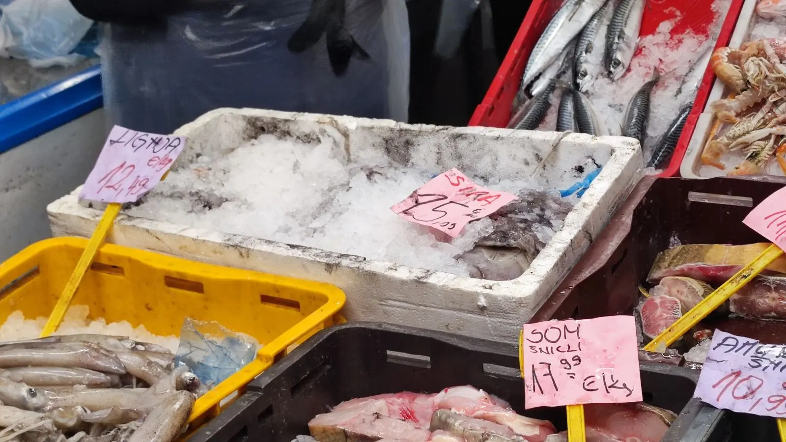 Ribarnica, Čakovec, Tržnica (5)