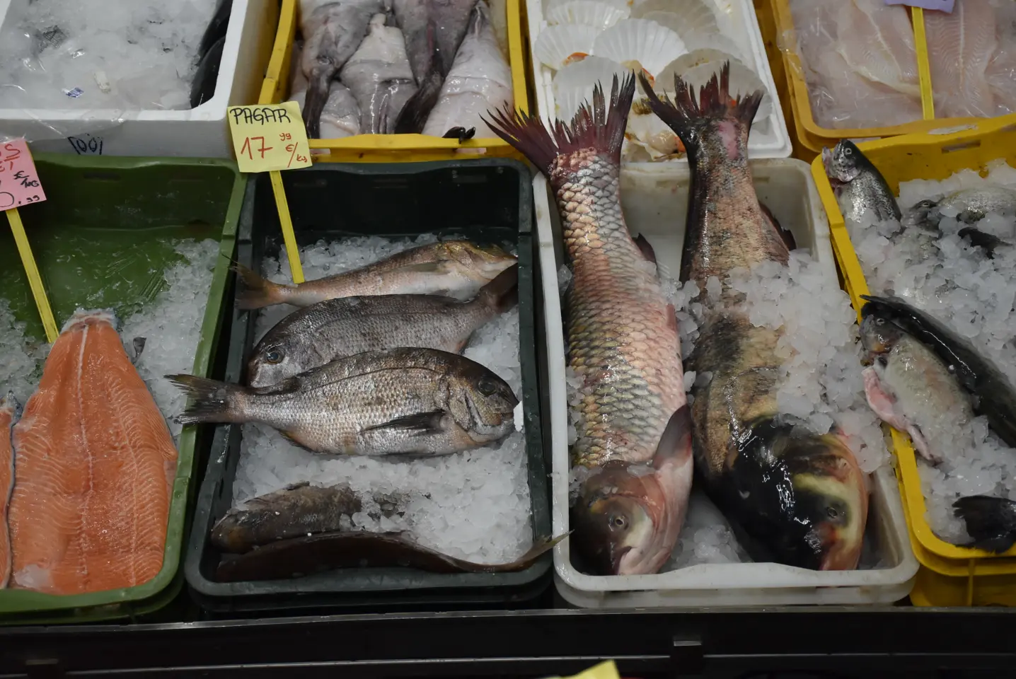 Ribarnica Orka, Čakovec, Veliki petak (3) Ribarnica Orka, Čakovec, Veliki petak (3)