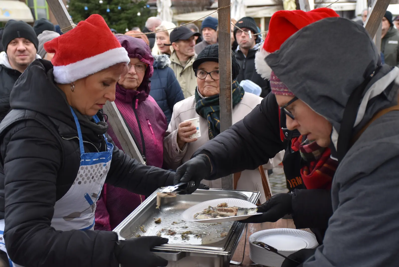 Ribice, Badnjak, Čakovec (16) Ribice, Badnjak, Čakovec (16)