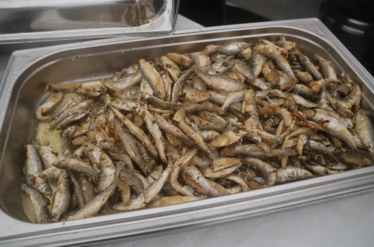 Ribice, Badnjak, Podjela, Franjevački trg, Čakovec 24.12.2025 (22)