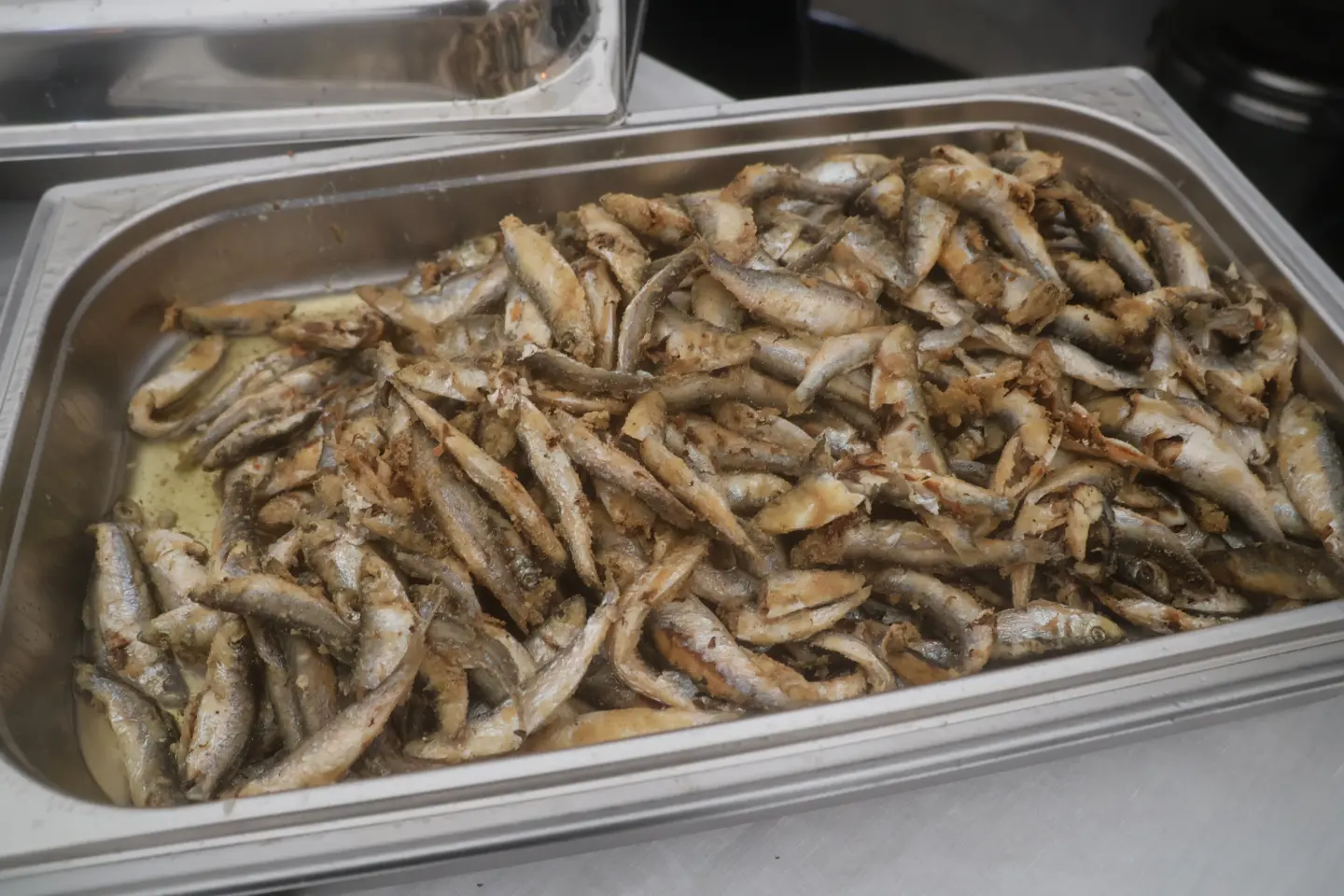 Ribice, Badnjak, Podjela, Franjevački trg, Čakovec 24.12.2025 (22)