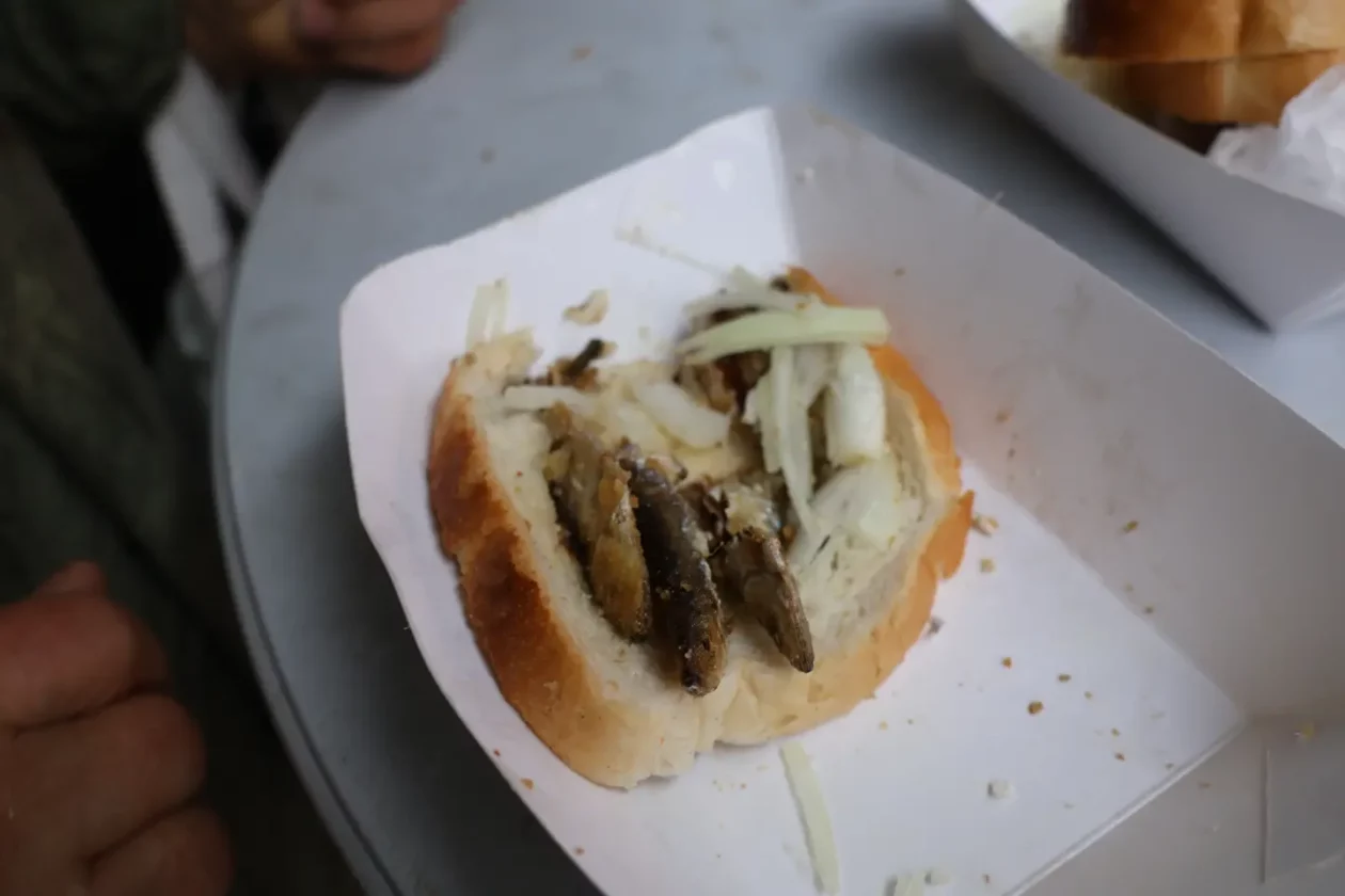 Ribice, Badnjak, Podjela, Franjevački trg, Čakovec 24.12.2025 (38)