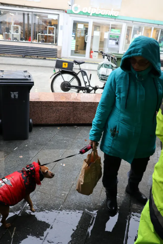 Ribice, Badnjak, Podjela, Franjevački trg, Čakovec 24.12.2025 (8)