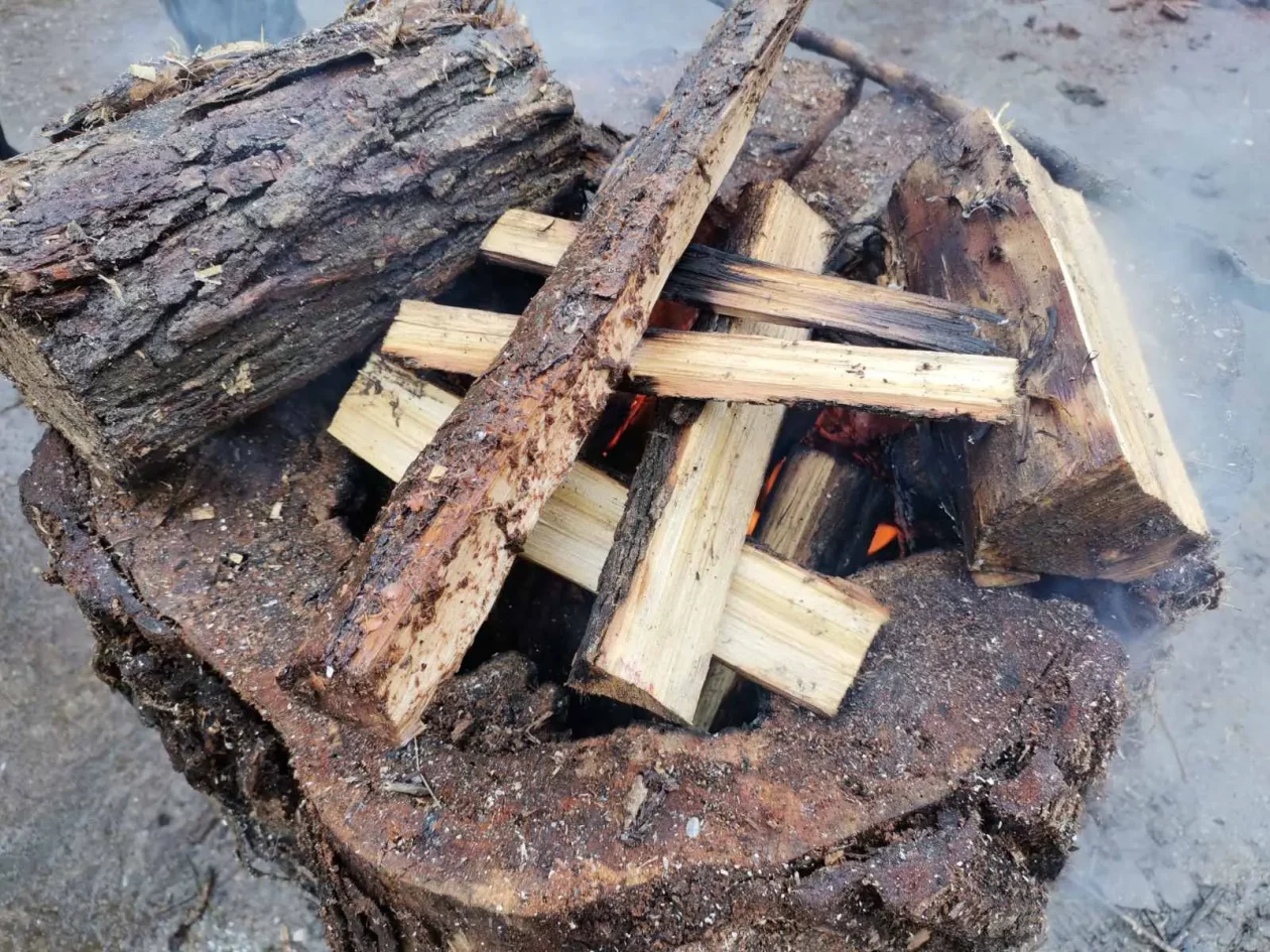 Ribička fešta Pušćine (16) Ribička fešta Pušćine (16)