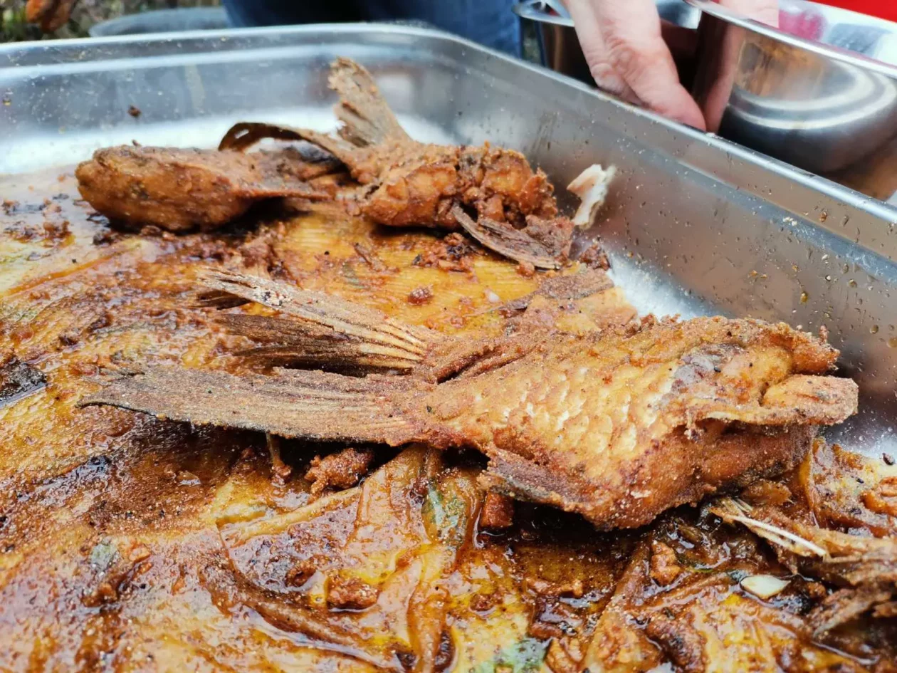 Ribička fešta Pušćine (9) Ribička fešta Pušćine (9)