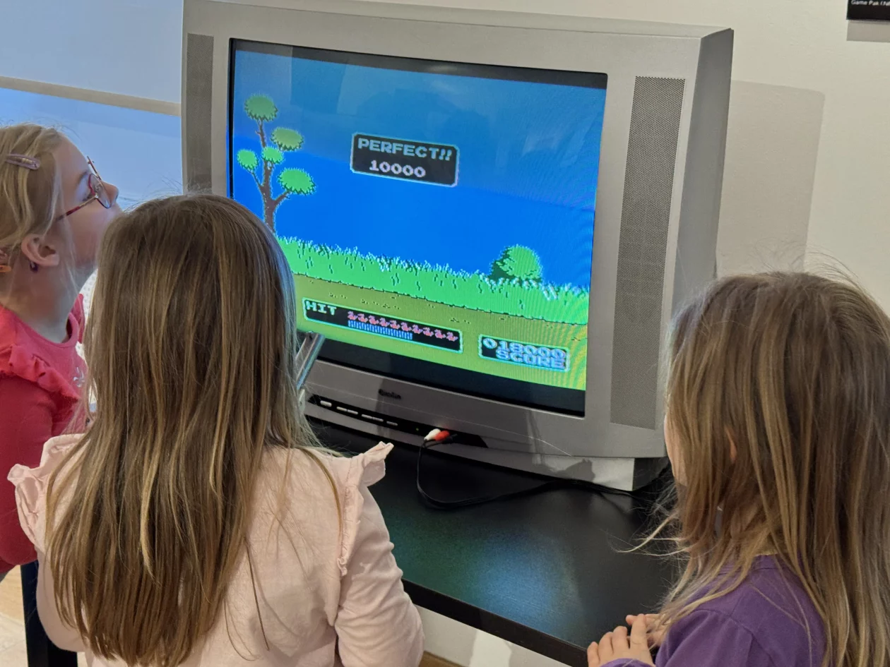 Riznica Međimurja RETRO Gaming (34)