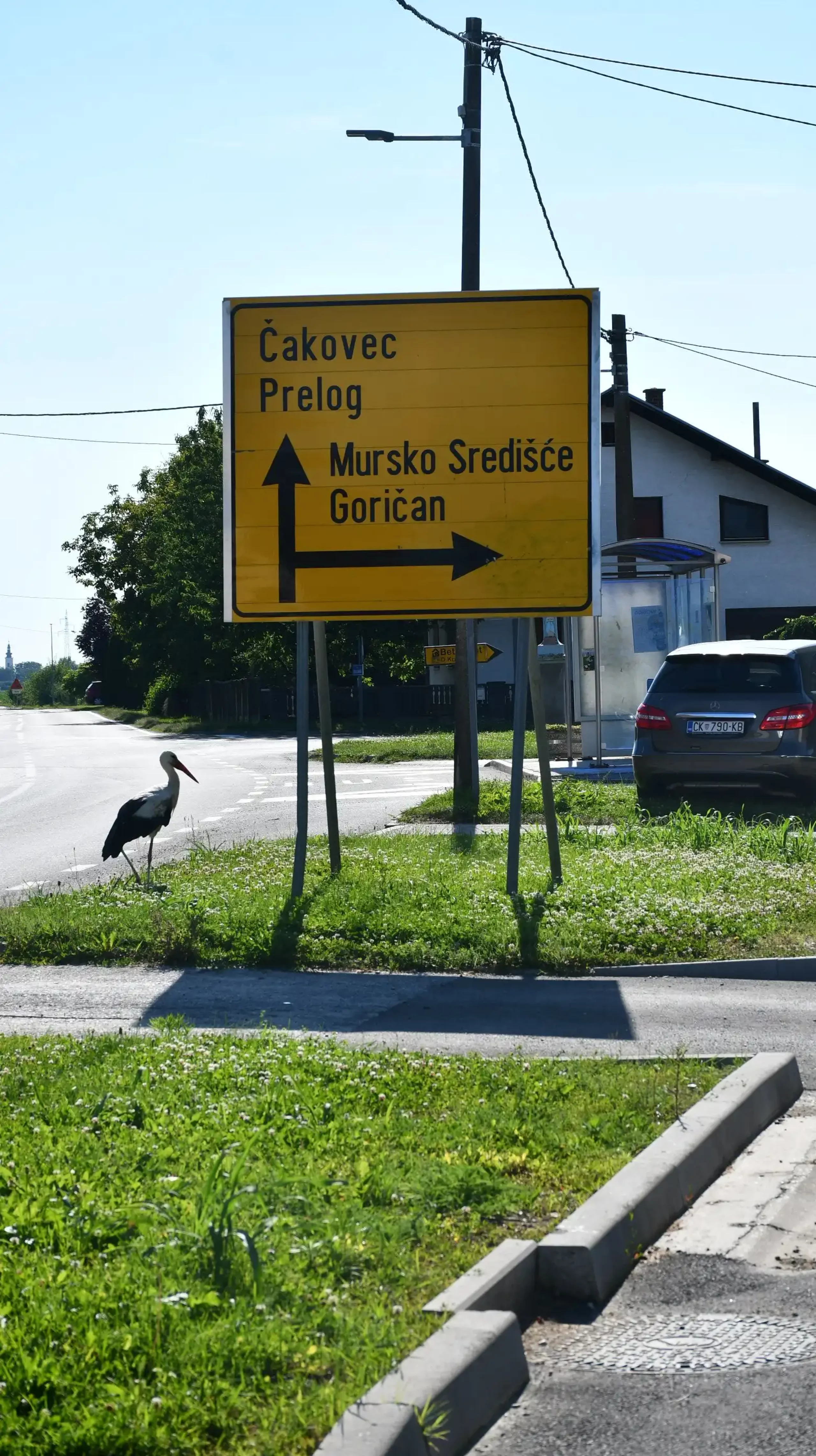 Roda u Draškovcu (1)