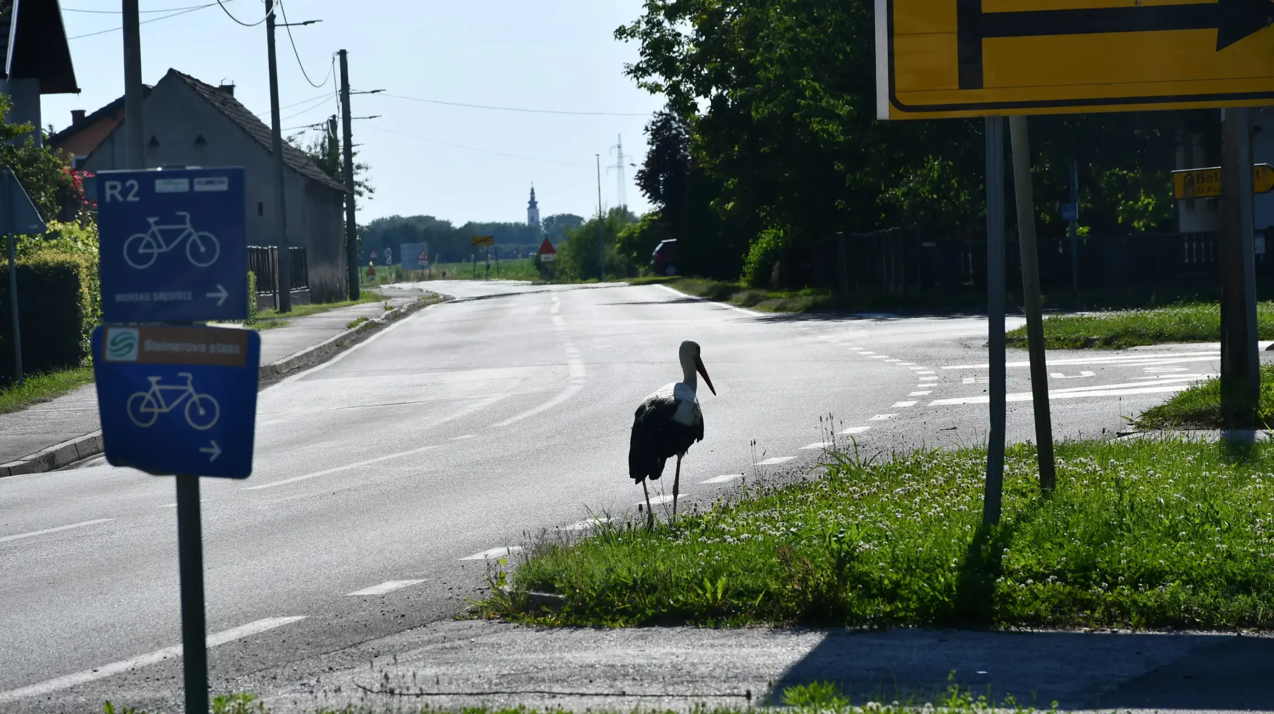 Roda u Draškovcu (11)