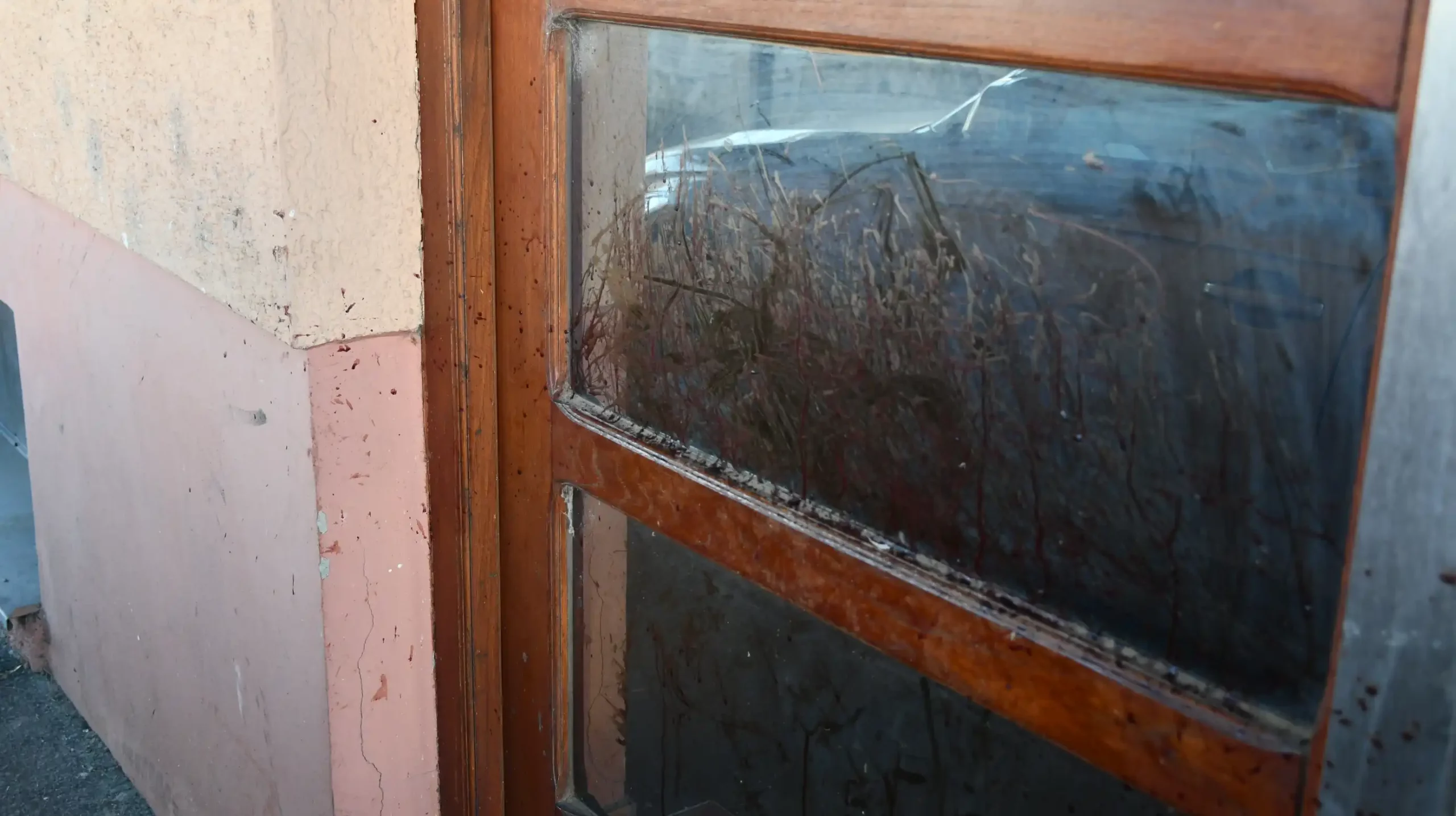 Roda u Draškovcu (5)