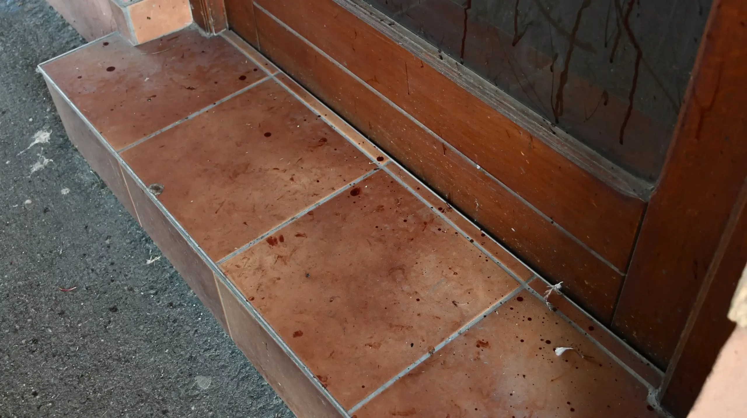 Roda u Draškovcu (6)