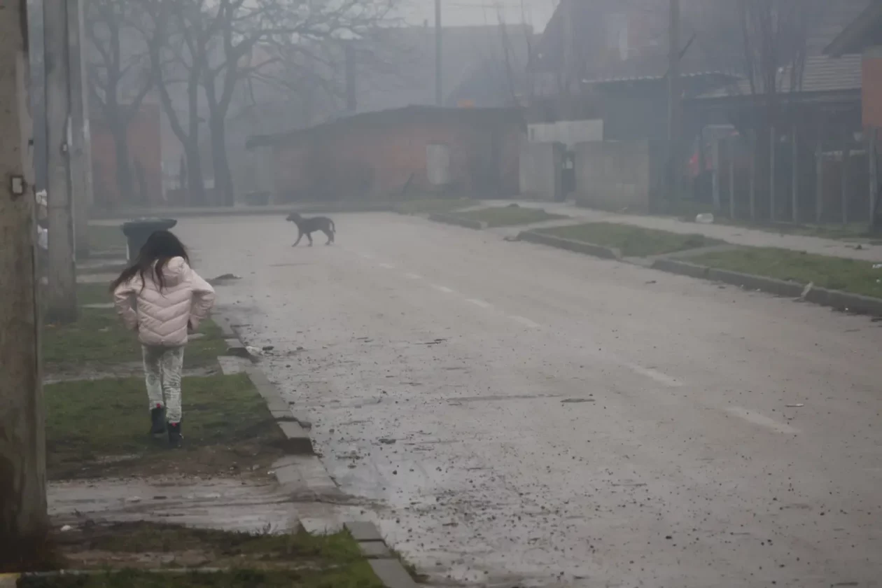 Romsko naselje Pribislavec dijete pas (56)