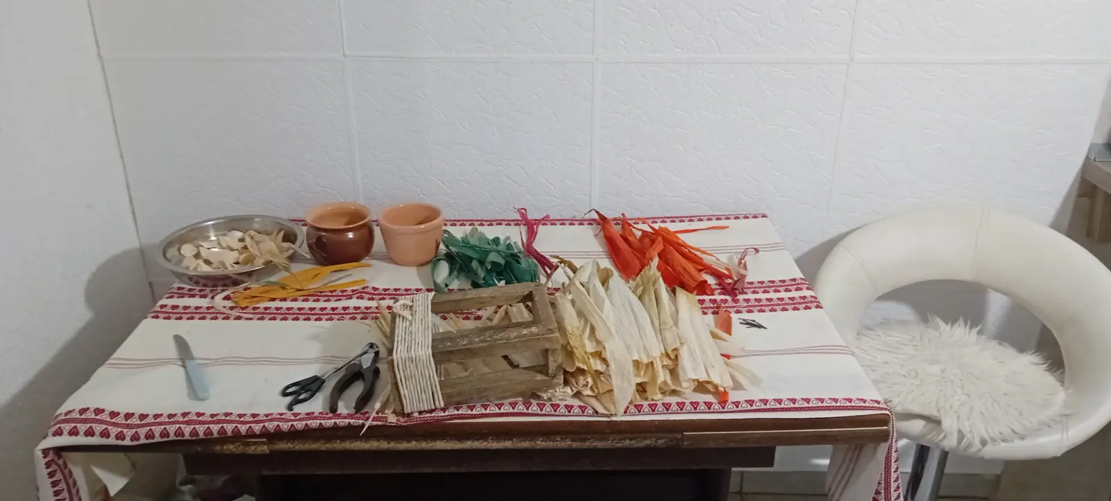 Rozina Fegeš, međimurski ceker (7)