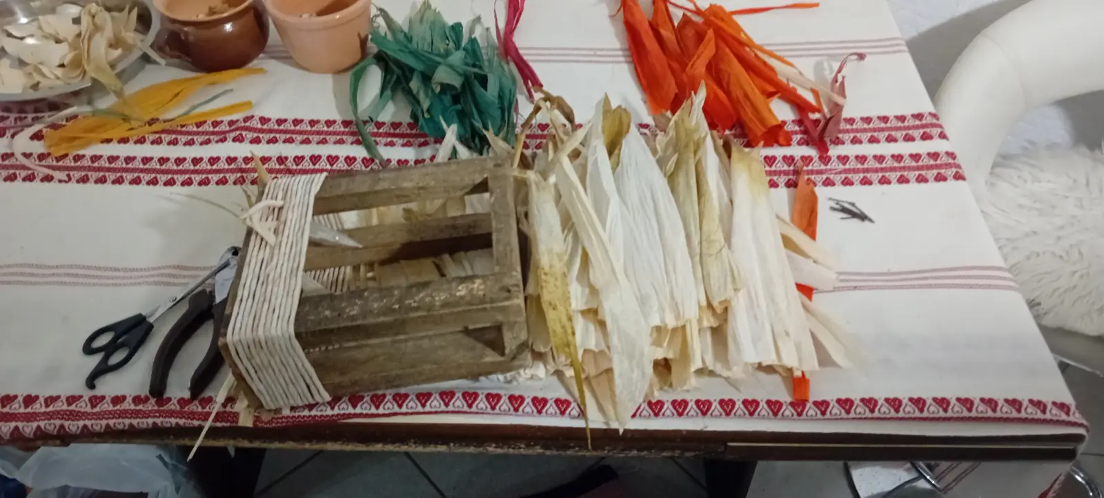 Rozina Fegeš, međimurski ceker (8)