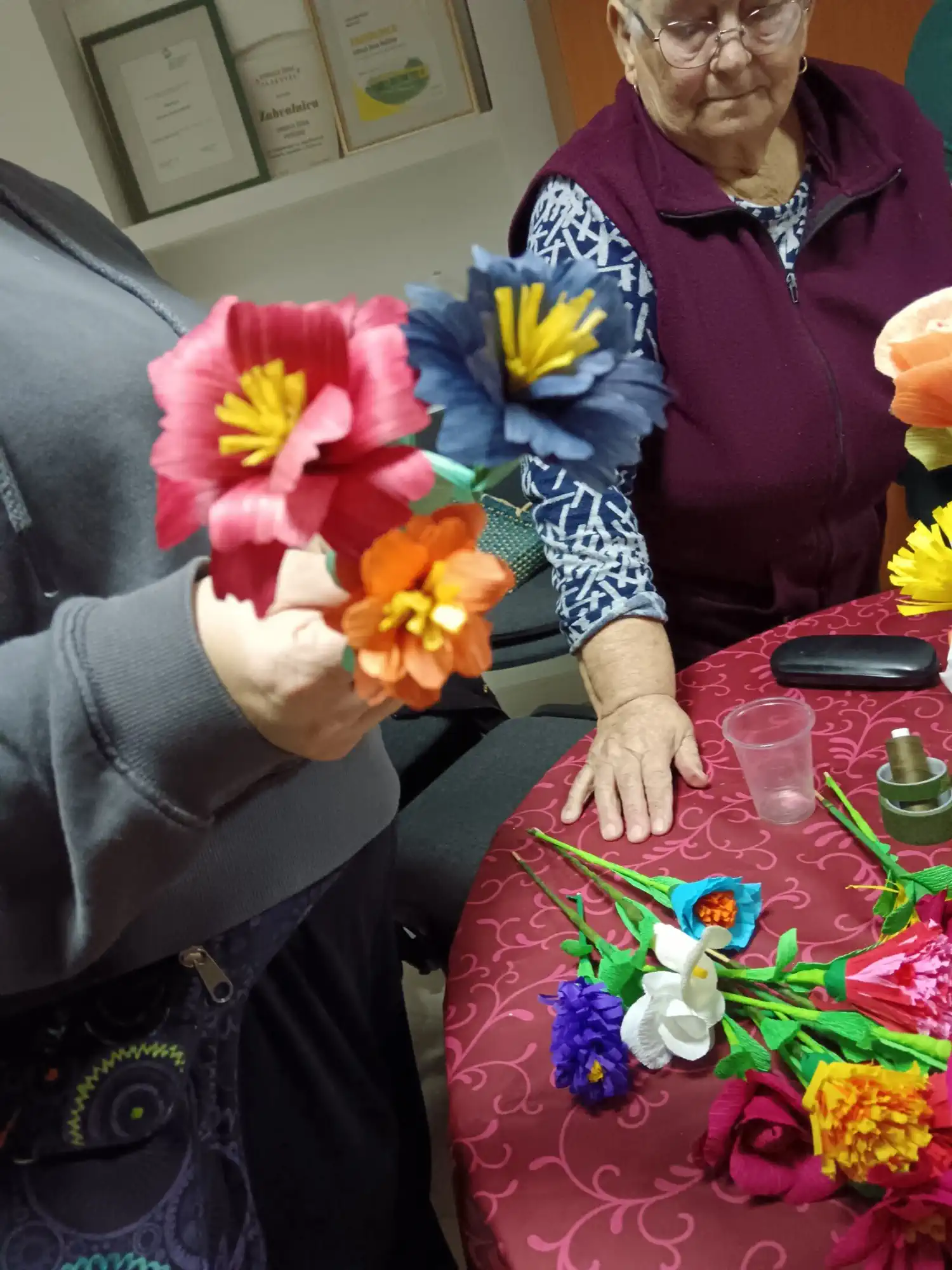 Rozina Novak (3) Rozina Novak (3)