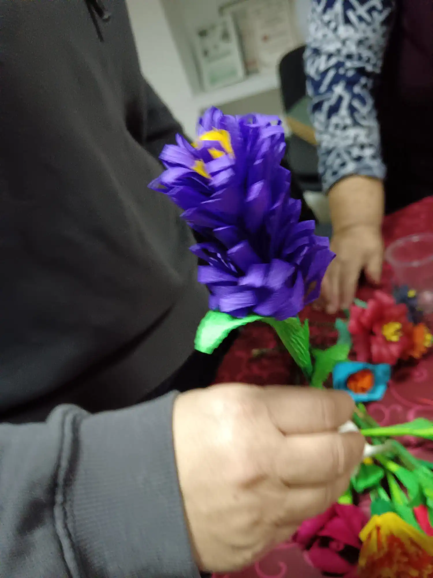 Rozina Novak (7) Rozina Novak (7)