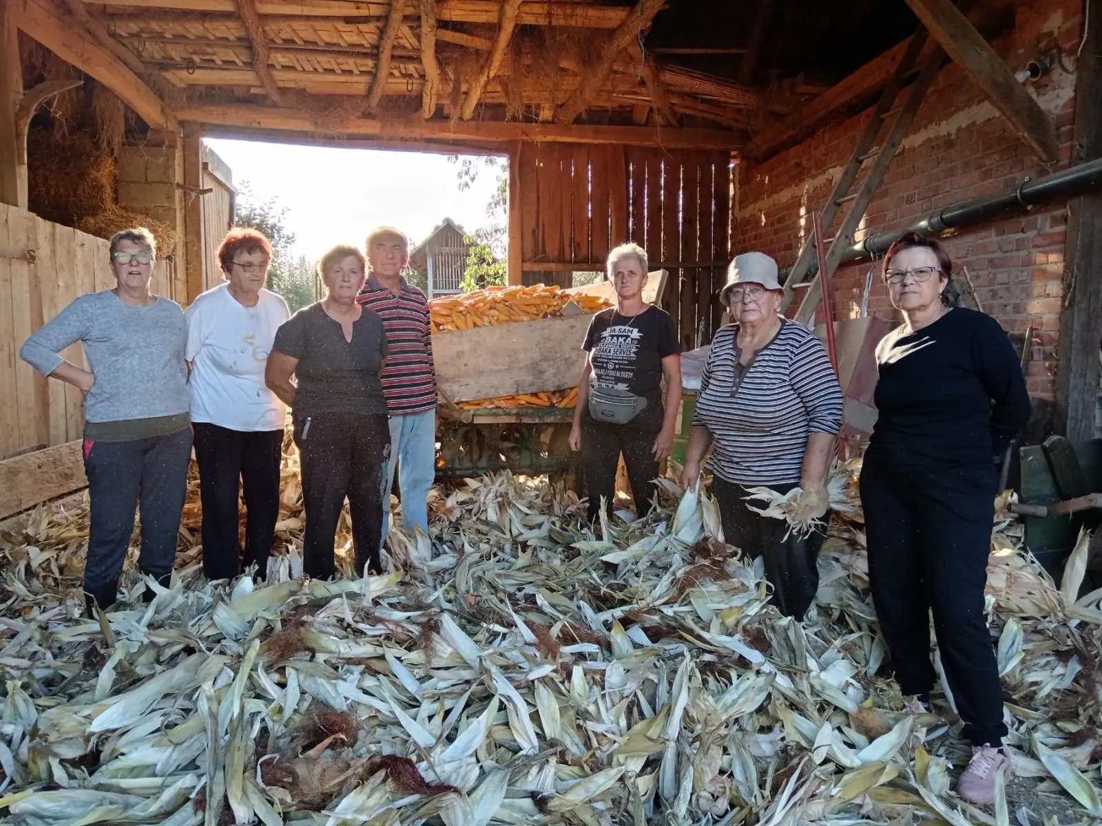 Ručna berba kukuruza, pušćine(22)