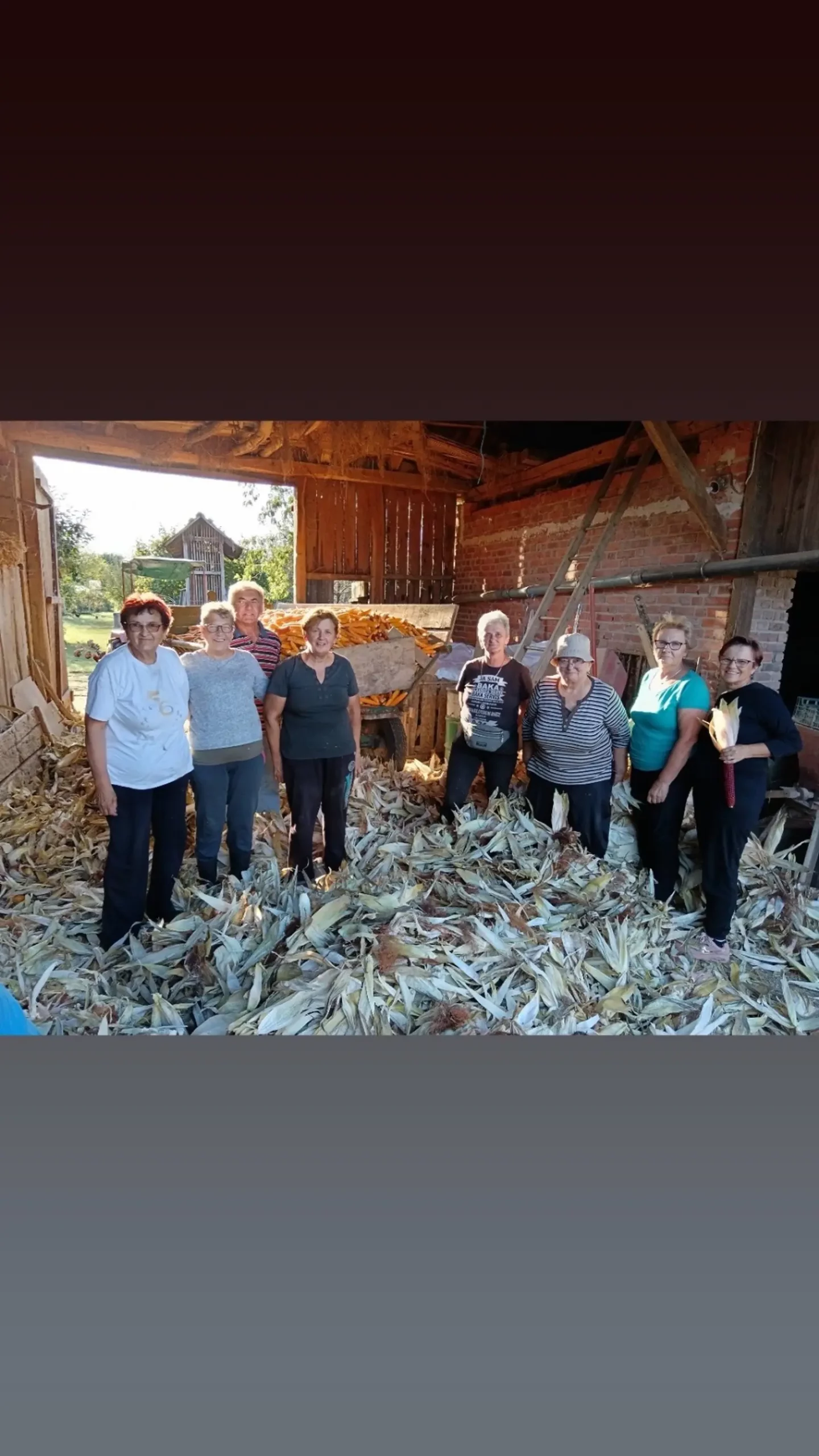 Ručna berba kukuruza, pušćine(23)