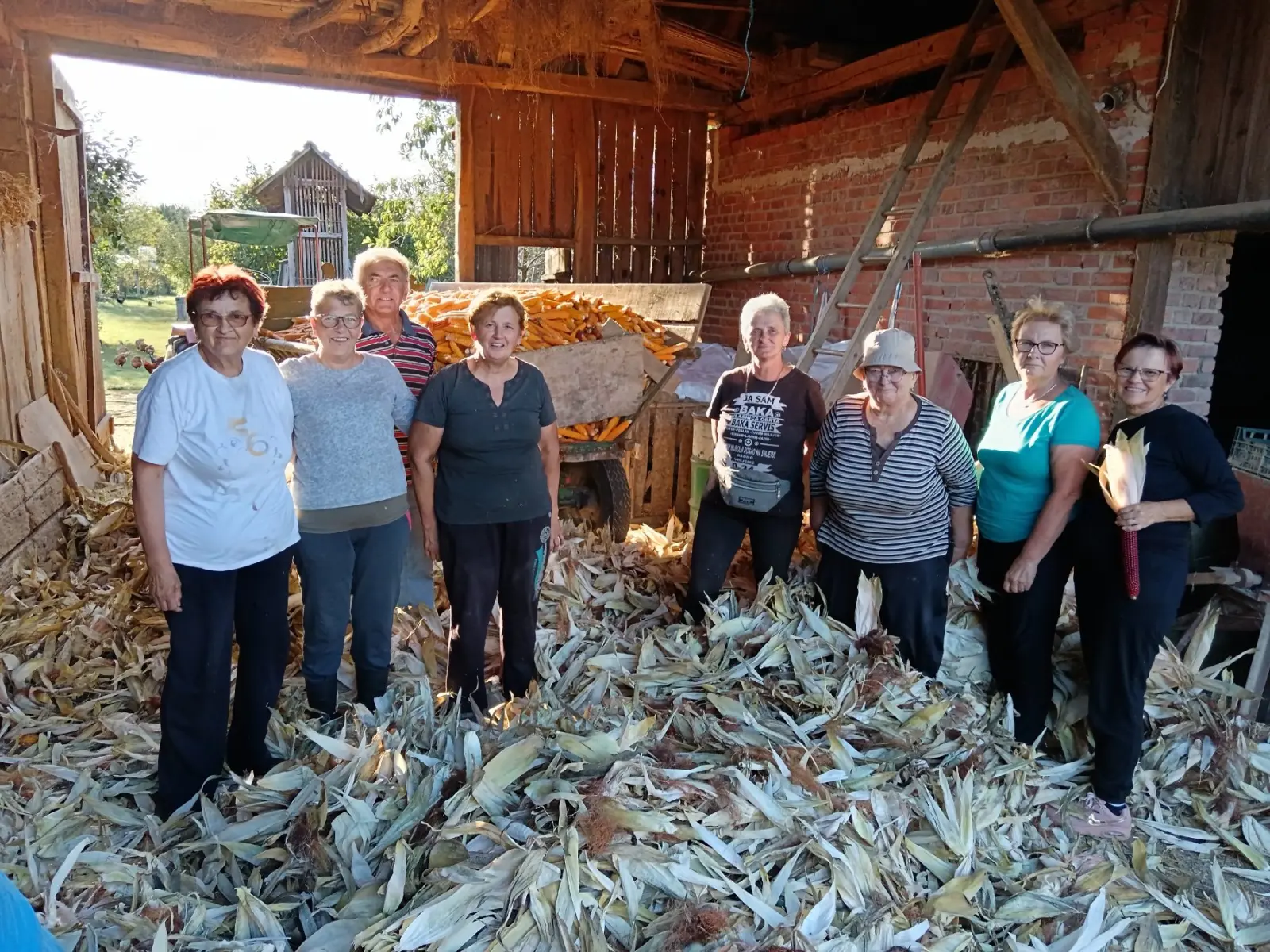 Ručna berba kukuruza, pušćine(25)