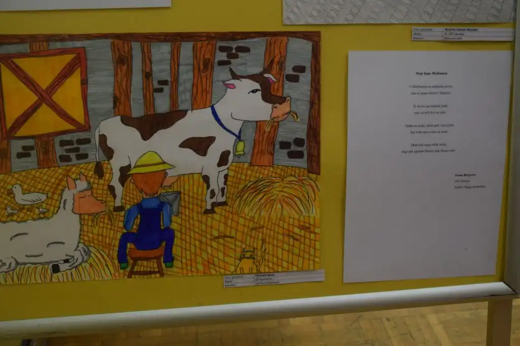 Ruza-Medimurska-7-1024×682 Ruza-Medimurska-7-1024×682