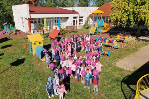 Ružičasti listopad