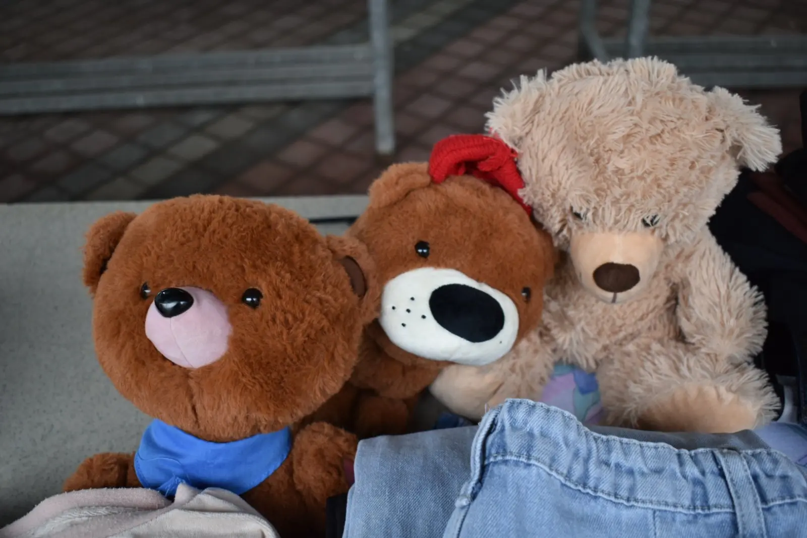 SAJAM RABLJENE ROBE Prelog (3)