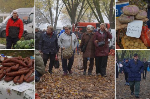 SAJAM SRIJEDOM 12.11.2025.