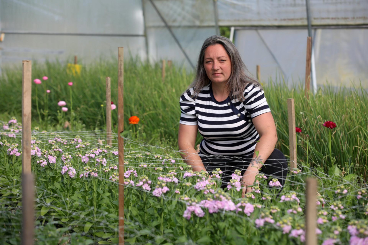 SAMITA (3) SAMITA (3)