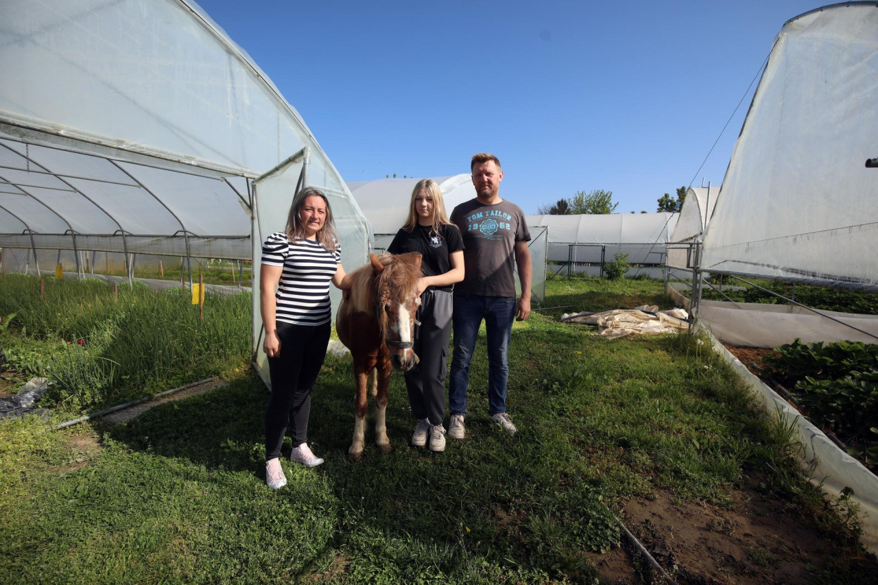 SAMITA (7) SAMITA (7)