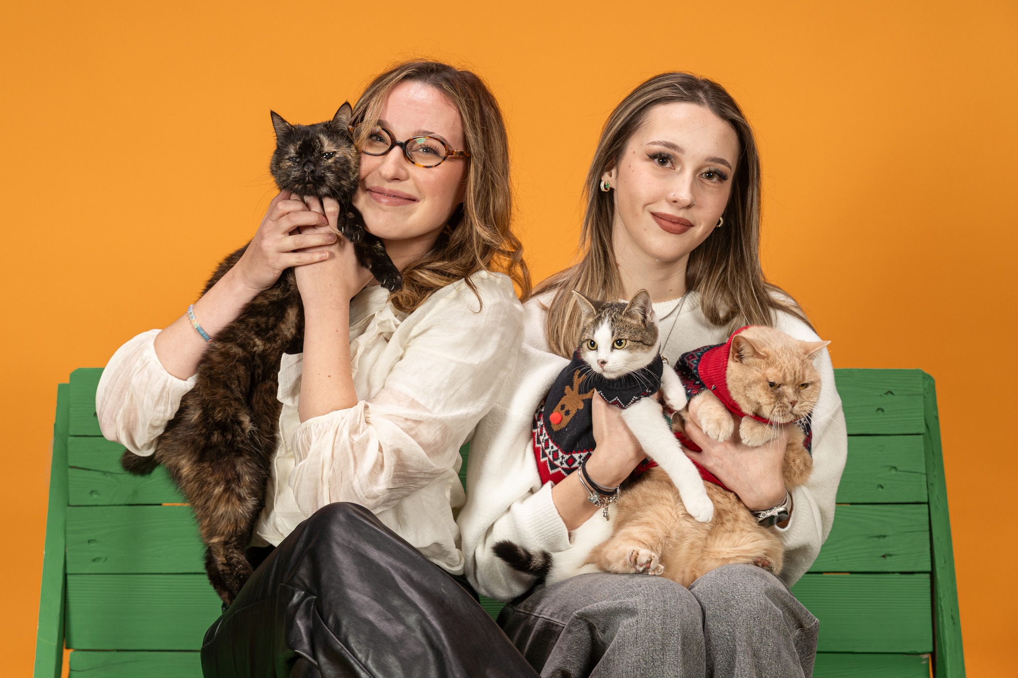 ŠAPICE U FOKUSU Najveselije fotkanje pasa i mačaka u Klubu Prostor (1)