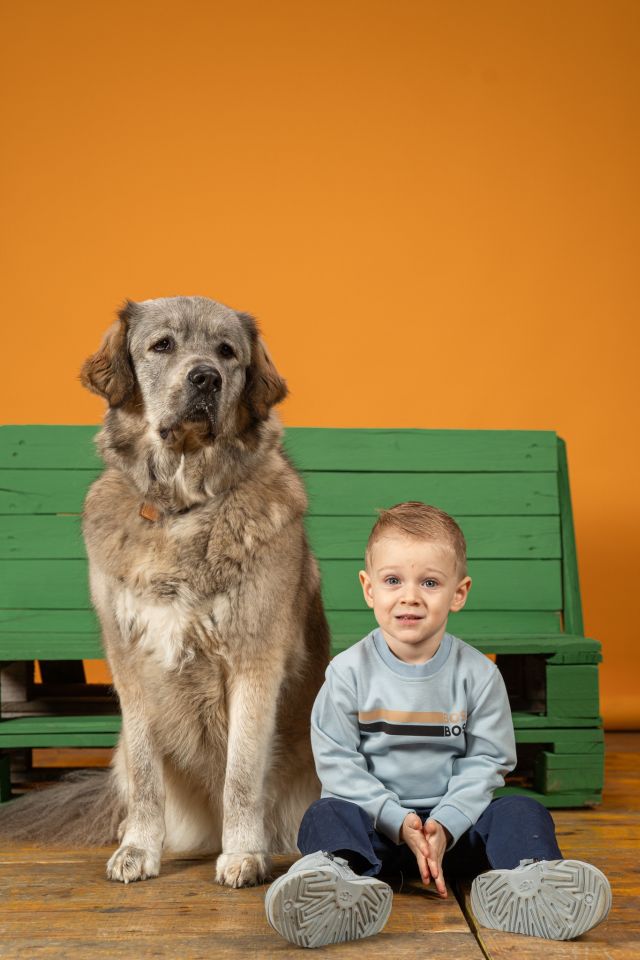 ŠAPICE U FOKUSU Najveselije fotkanje pasa i mačaka u Klubu Prostor (18)